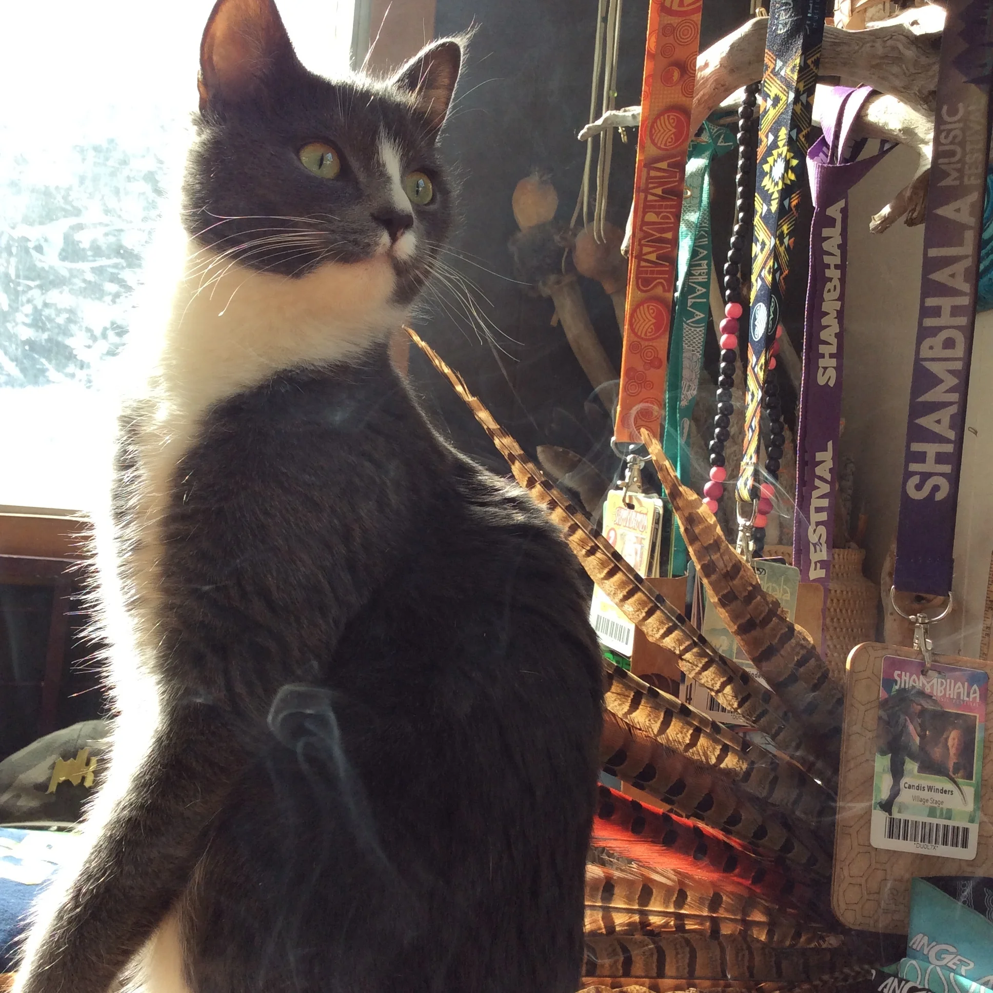 216B0938-89A7-45D7-8652-8F06F2AB3358