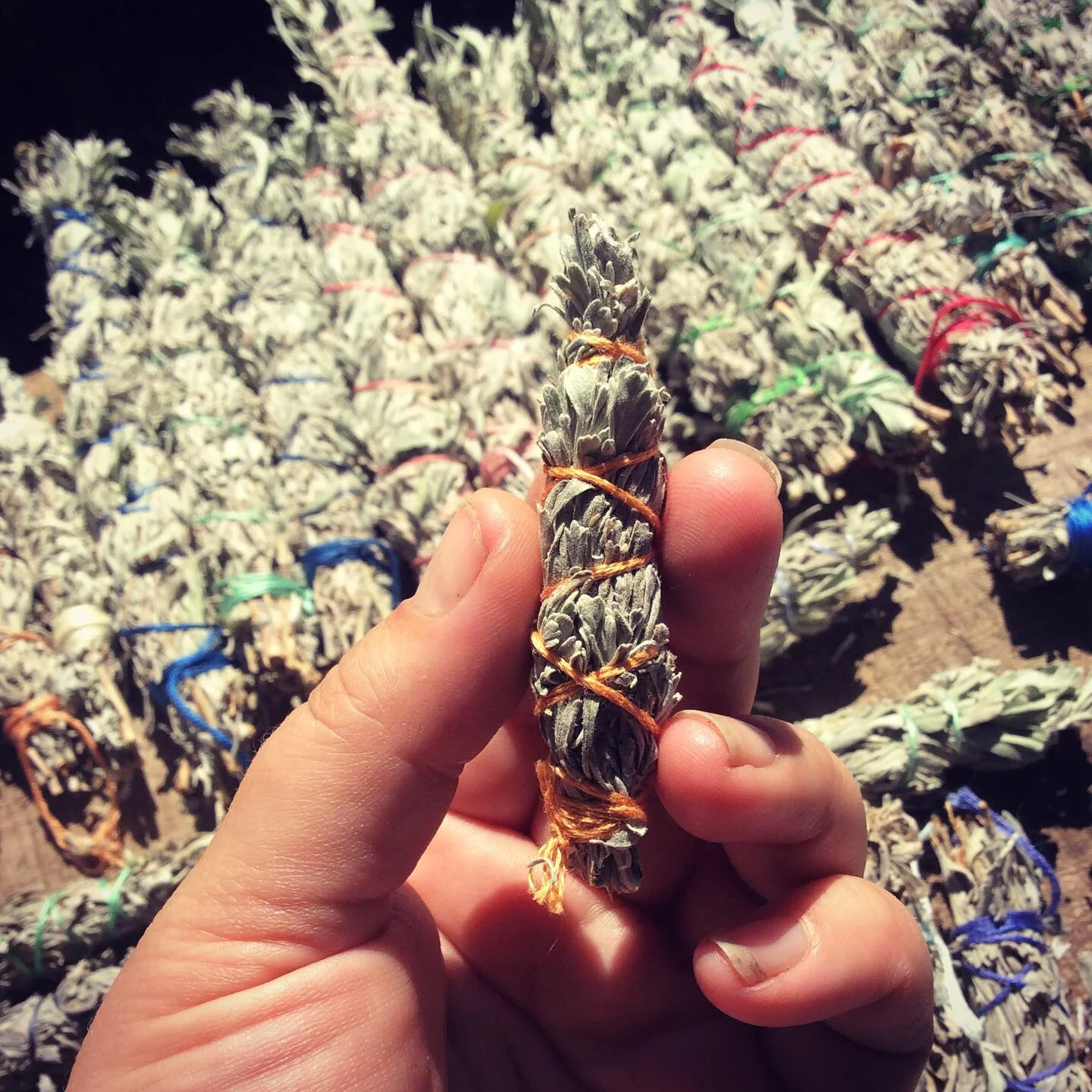 624325F7-8E28-4E4C-A2E3-416EBF6EF808