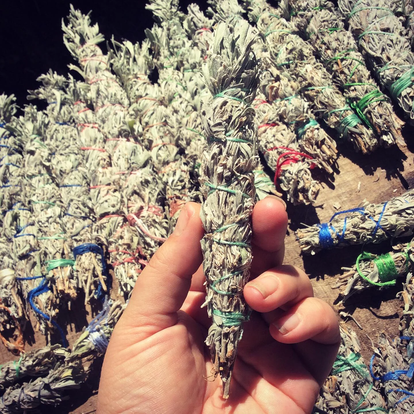 09B8895C-CBB3-44BC-ACC4-CB224175178E