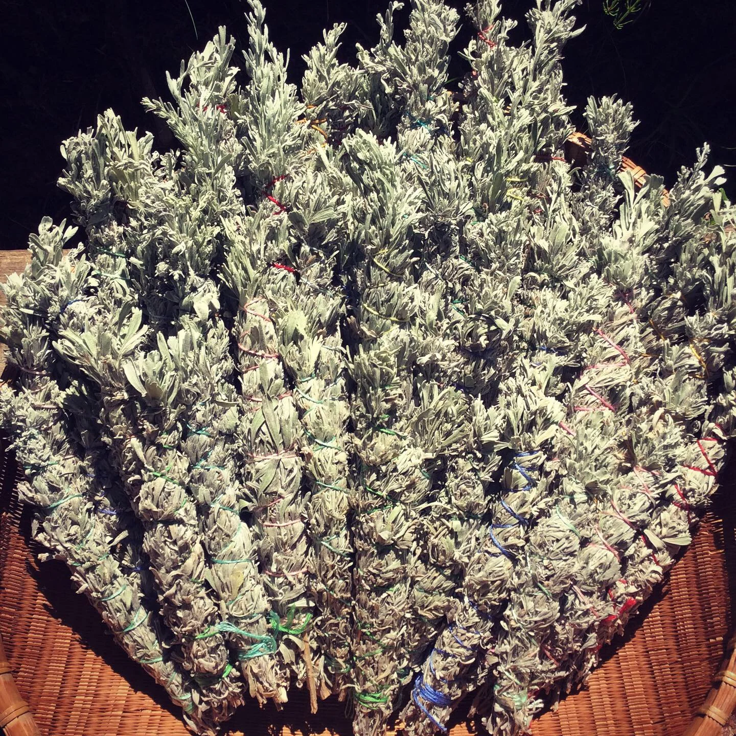 5E3A5697-7B67-42CD-B613-97431068262C