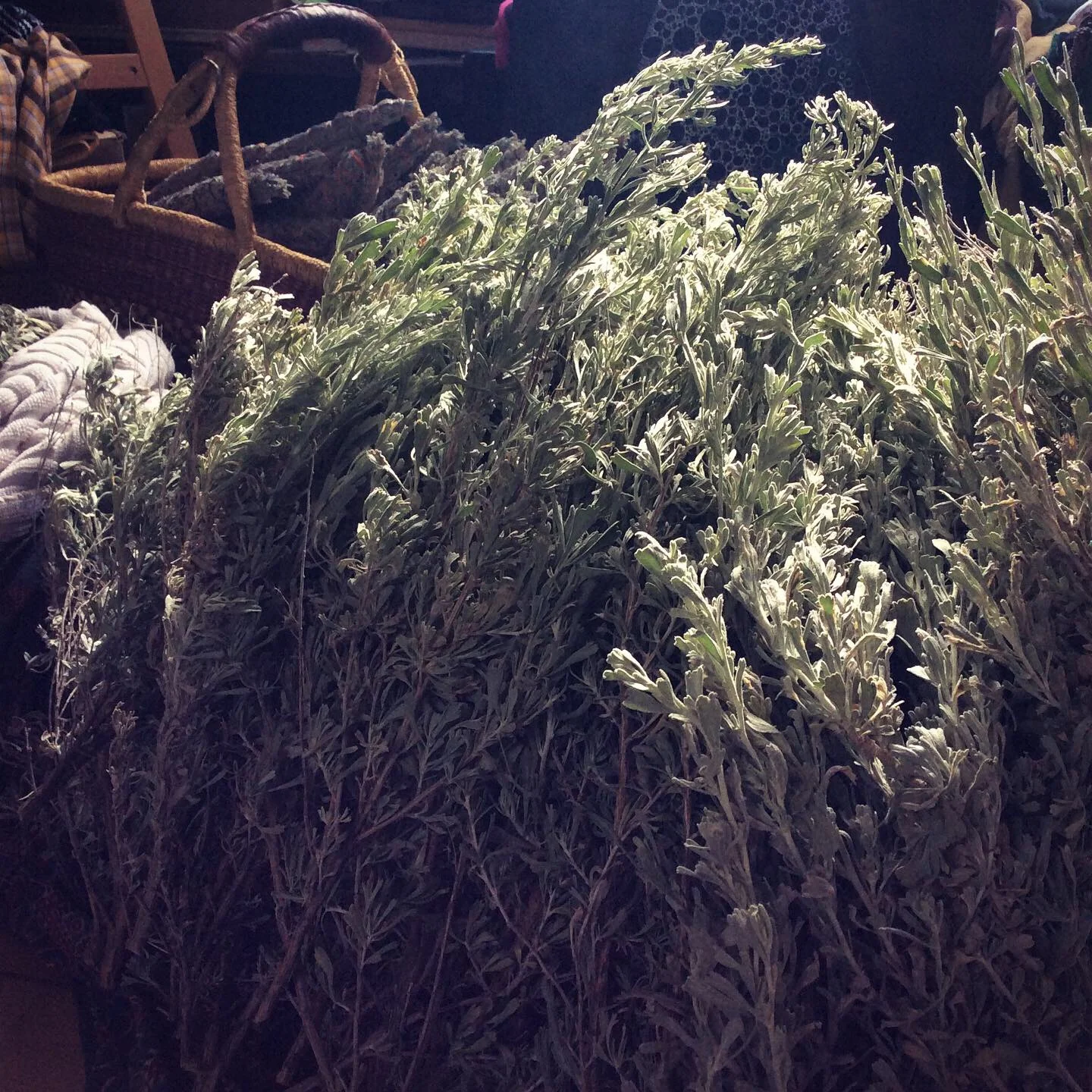 584D5474-70C8-4DAF-9C94-980A8FCD8A18