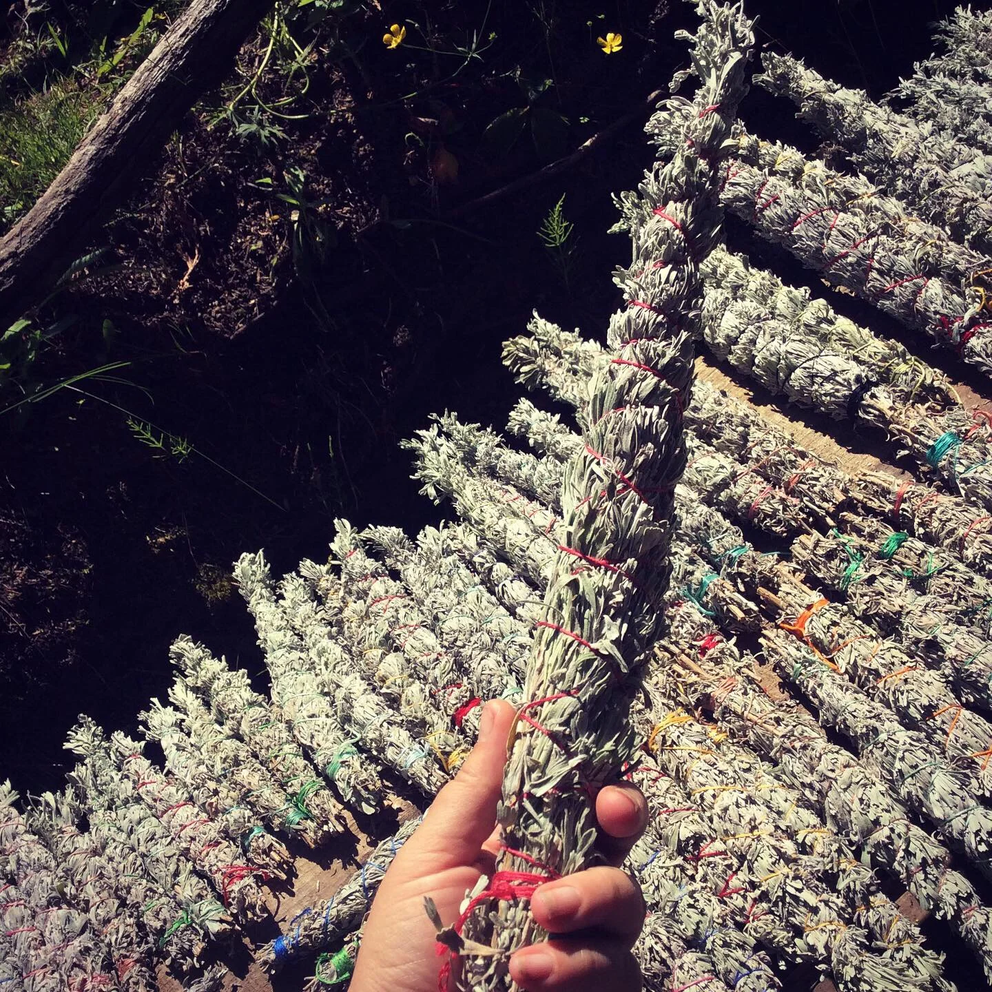 12350BFD-F2B3-4724-BA95-6275A0A62D5A