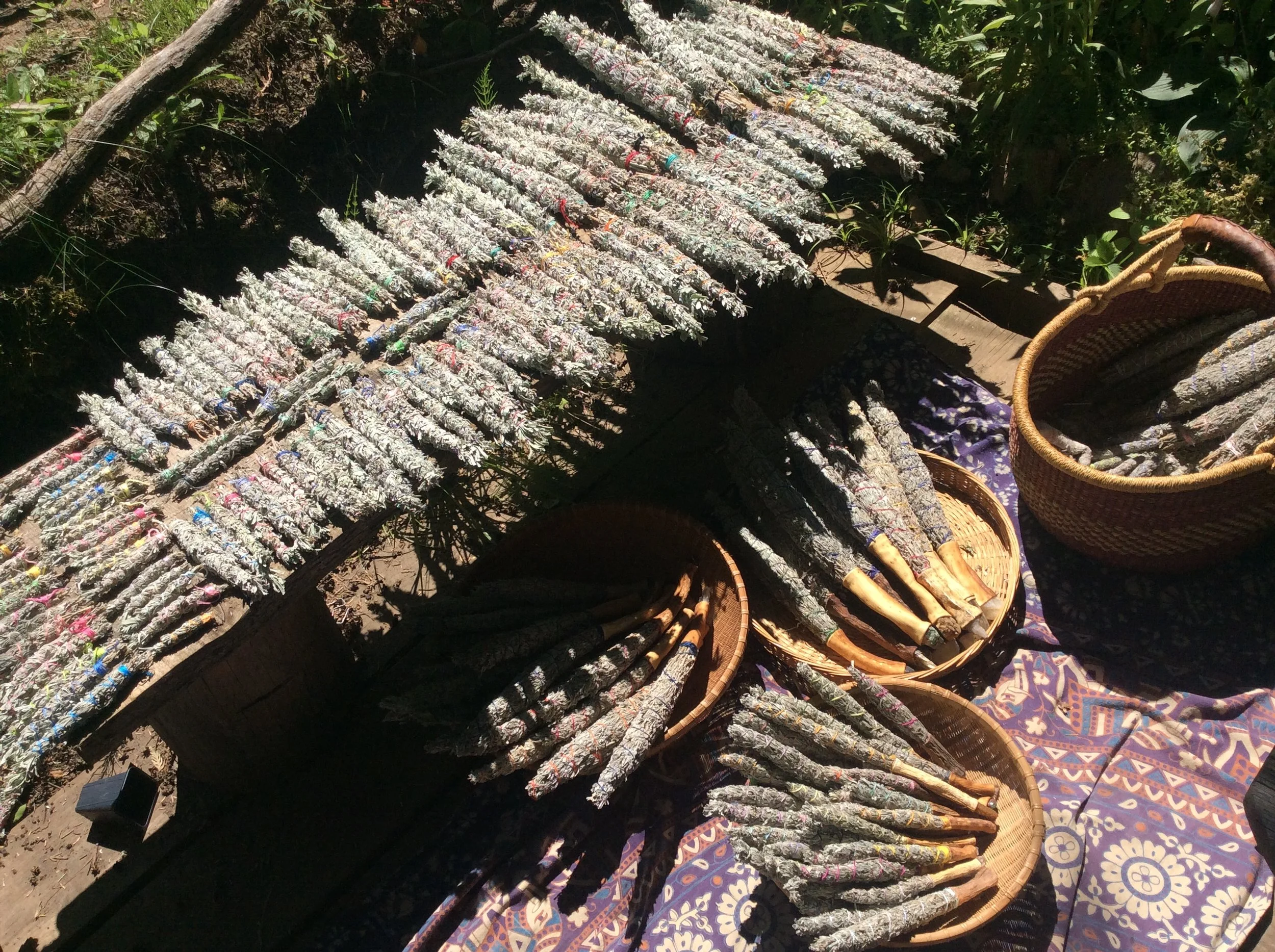 862E4302-41F1-4981-80A3-8226B095660A