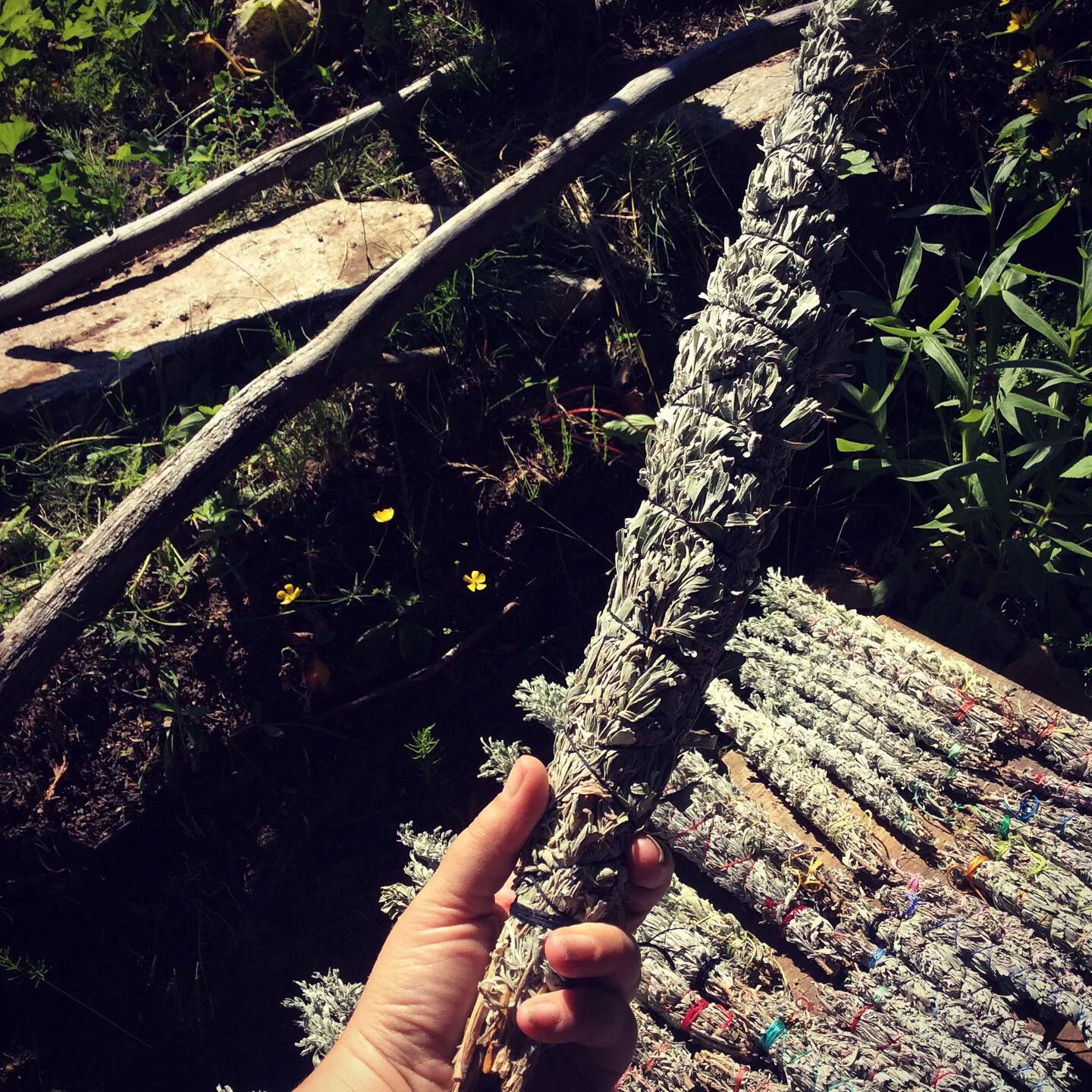 B9713AC4-29BB-4740-9F07-AC096BEBC2C2