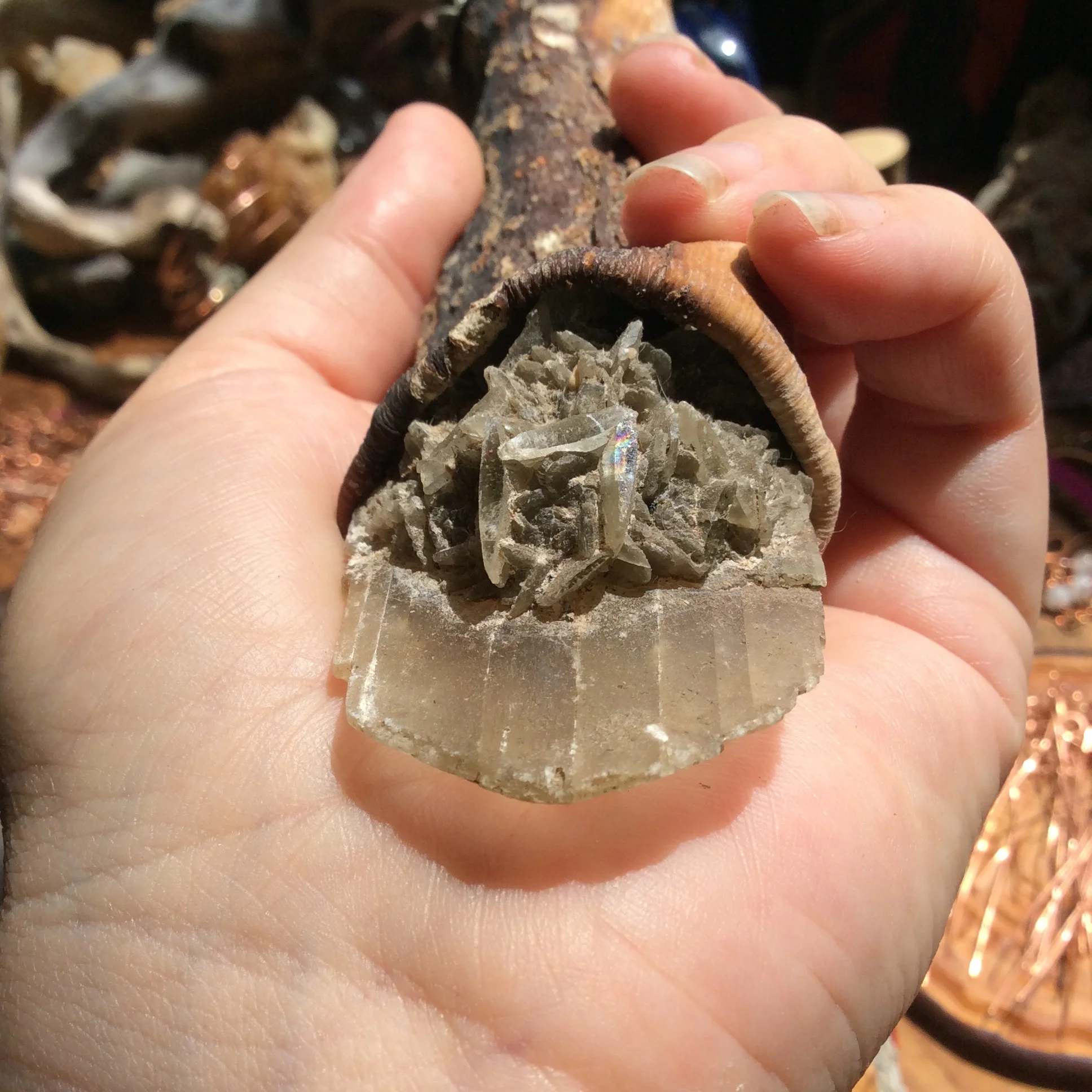 ED9557C9-07C4-4992-872C-CF2E77EEBE45