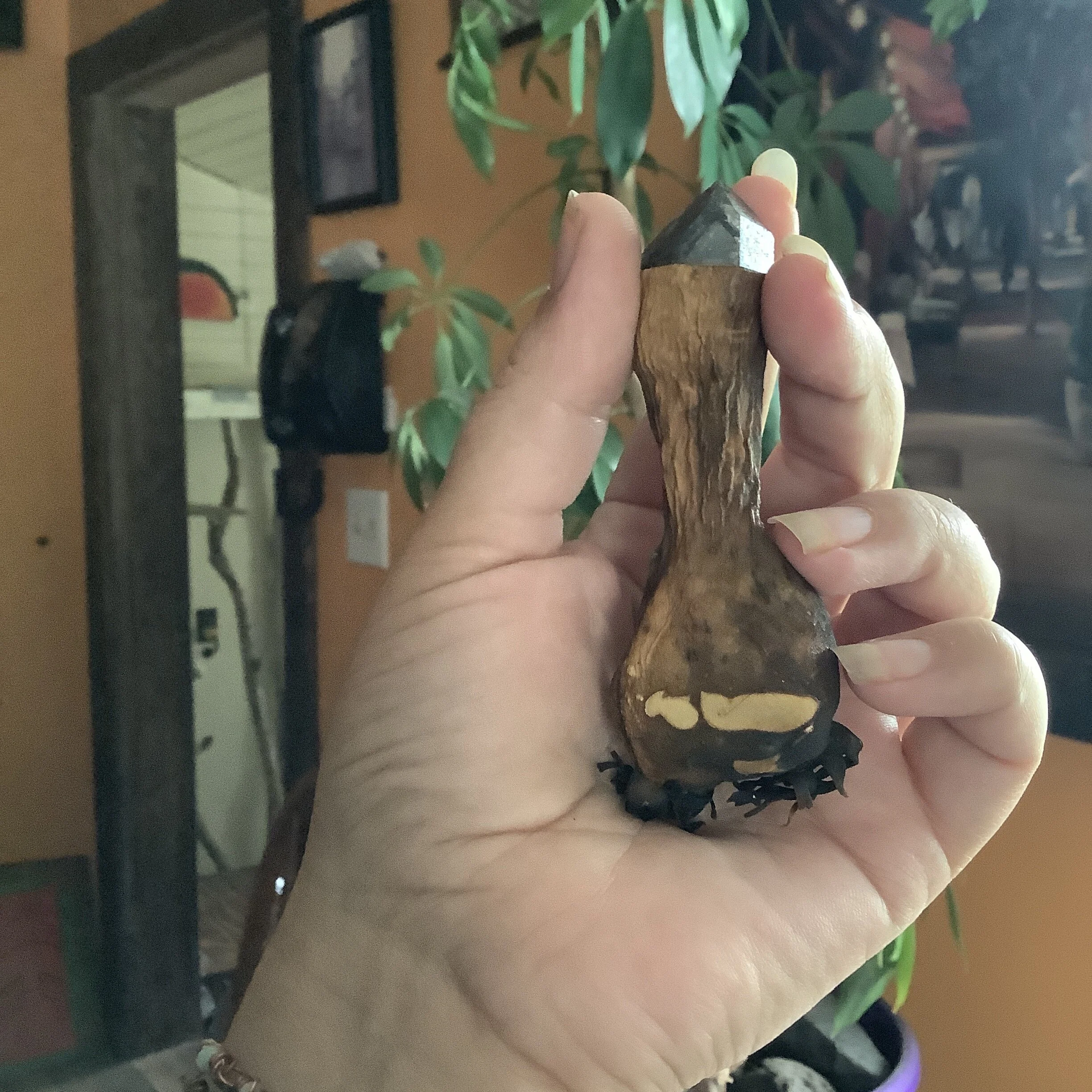 4A56DC6C-AF9B-4381-B7D5-2EF333EDF05D