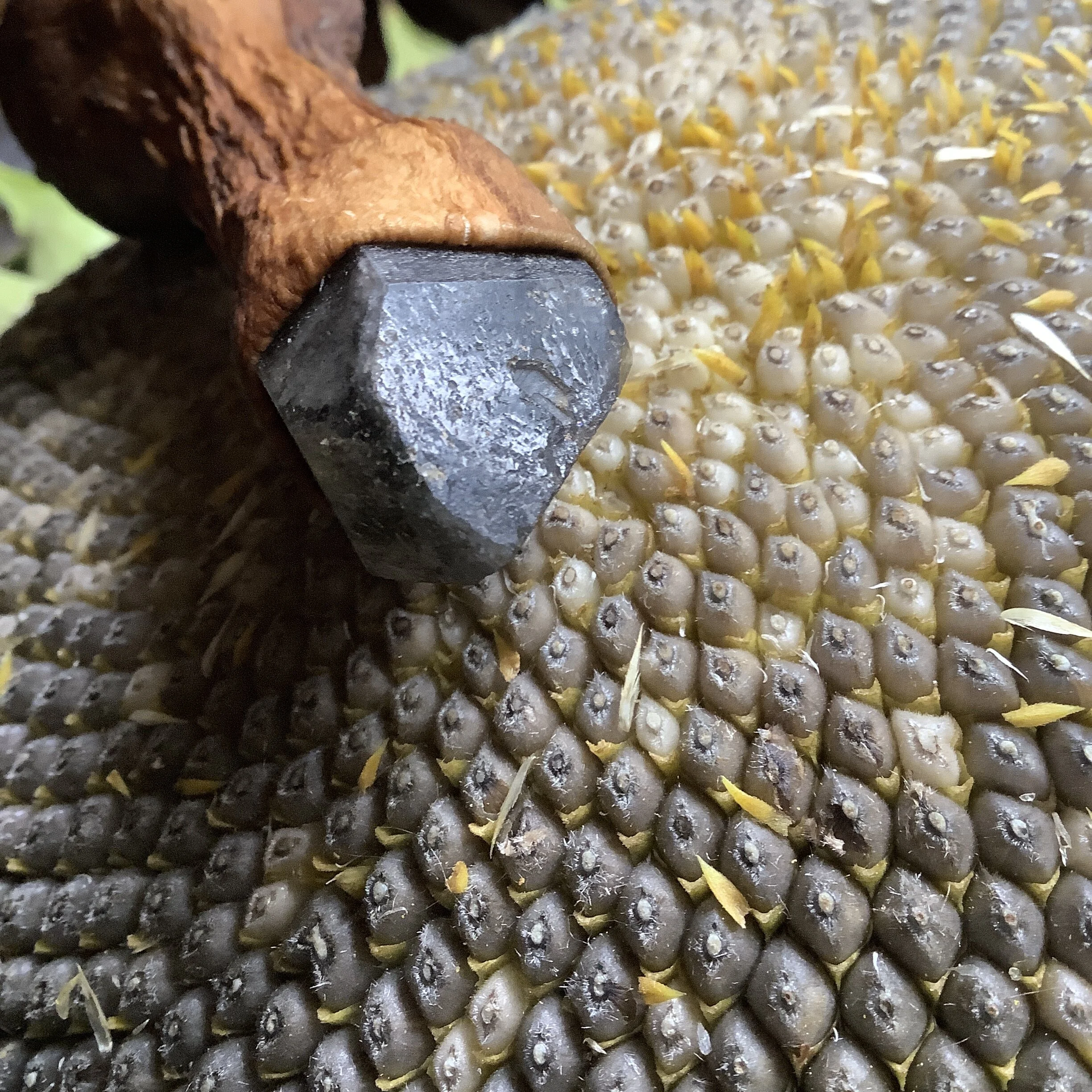 80E97070-1E8D-46C4-990D-5DA4B1291267