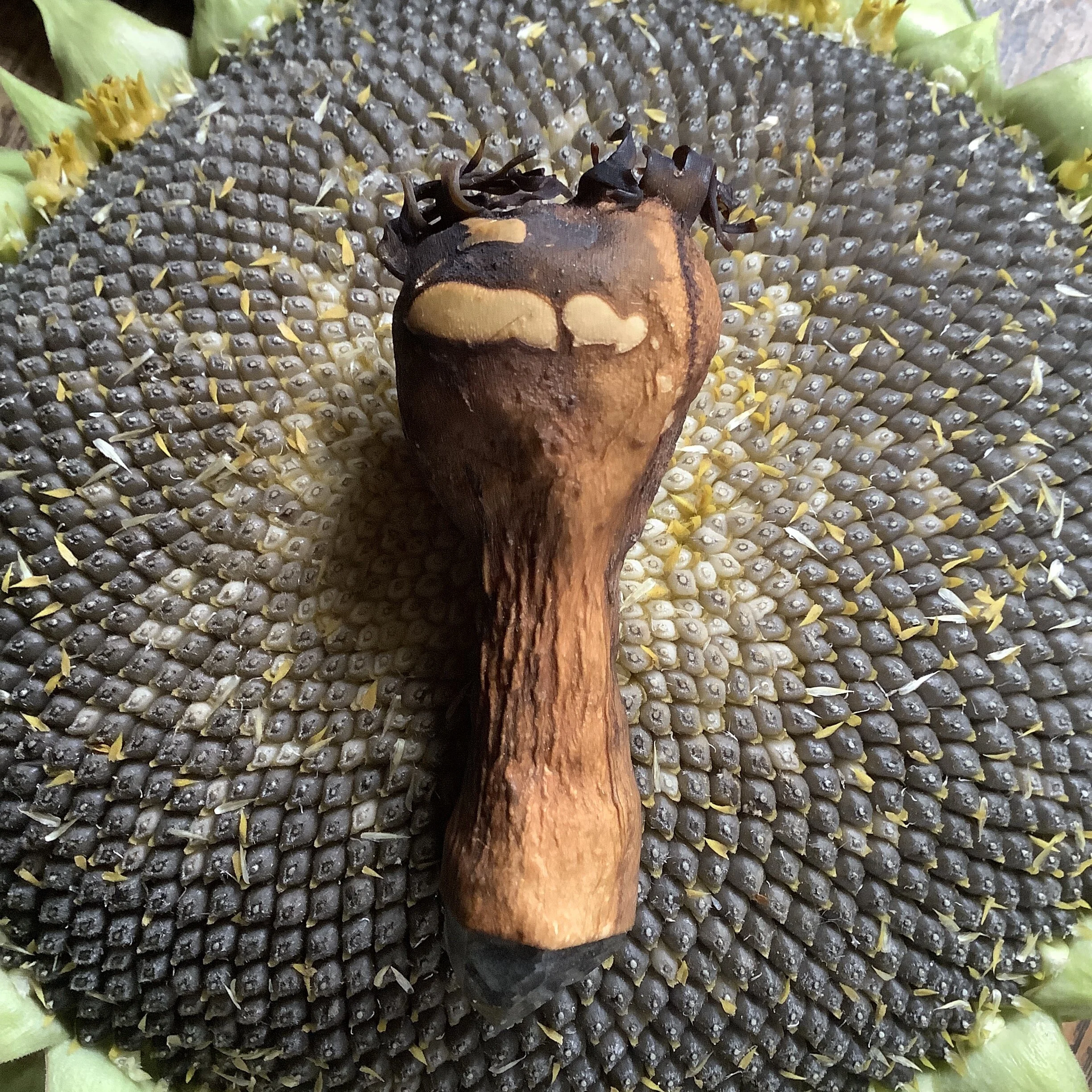 791C3849-D52D-4B65-892B-EAFDC8D3CB35