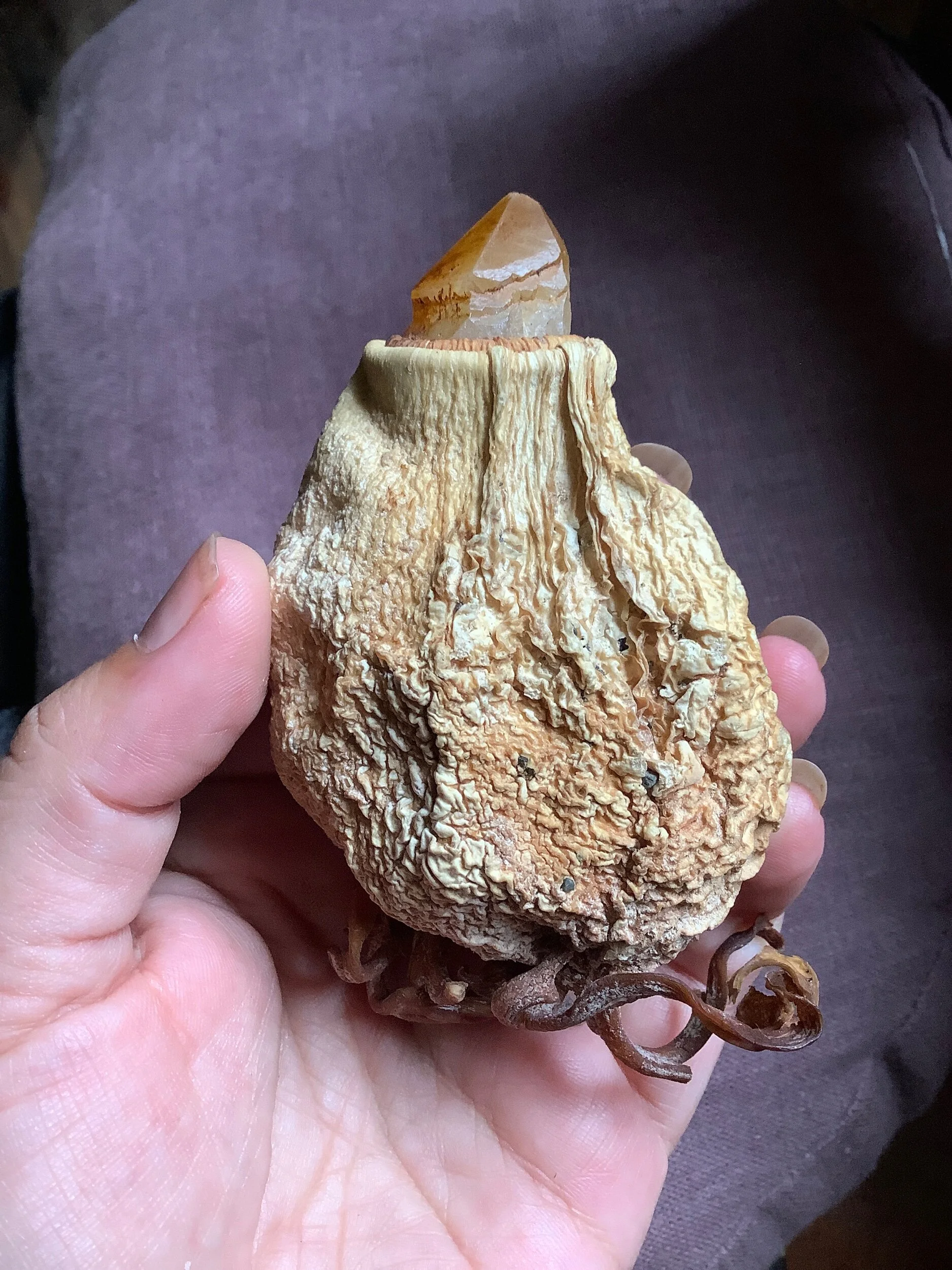 EAB6A46B-F6F9-42B6-AD7A-6E2BCD392B9C