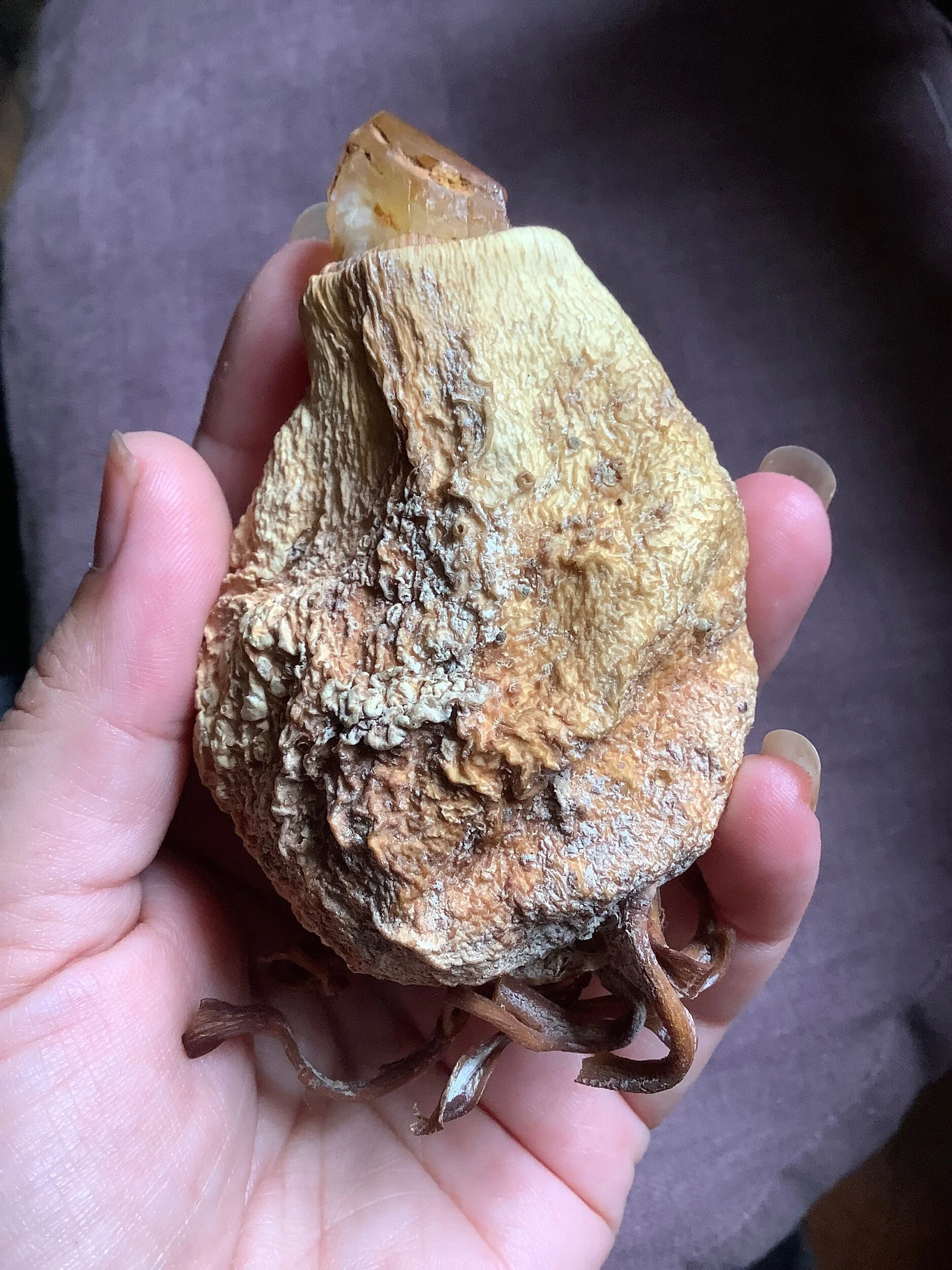 12D64151-63C2-4A5C-AAC2-52091008DFAE