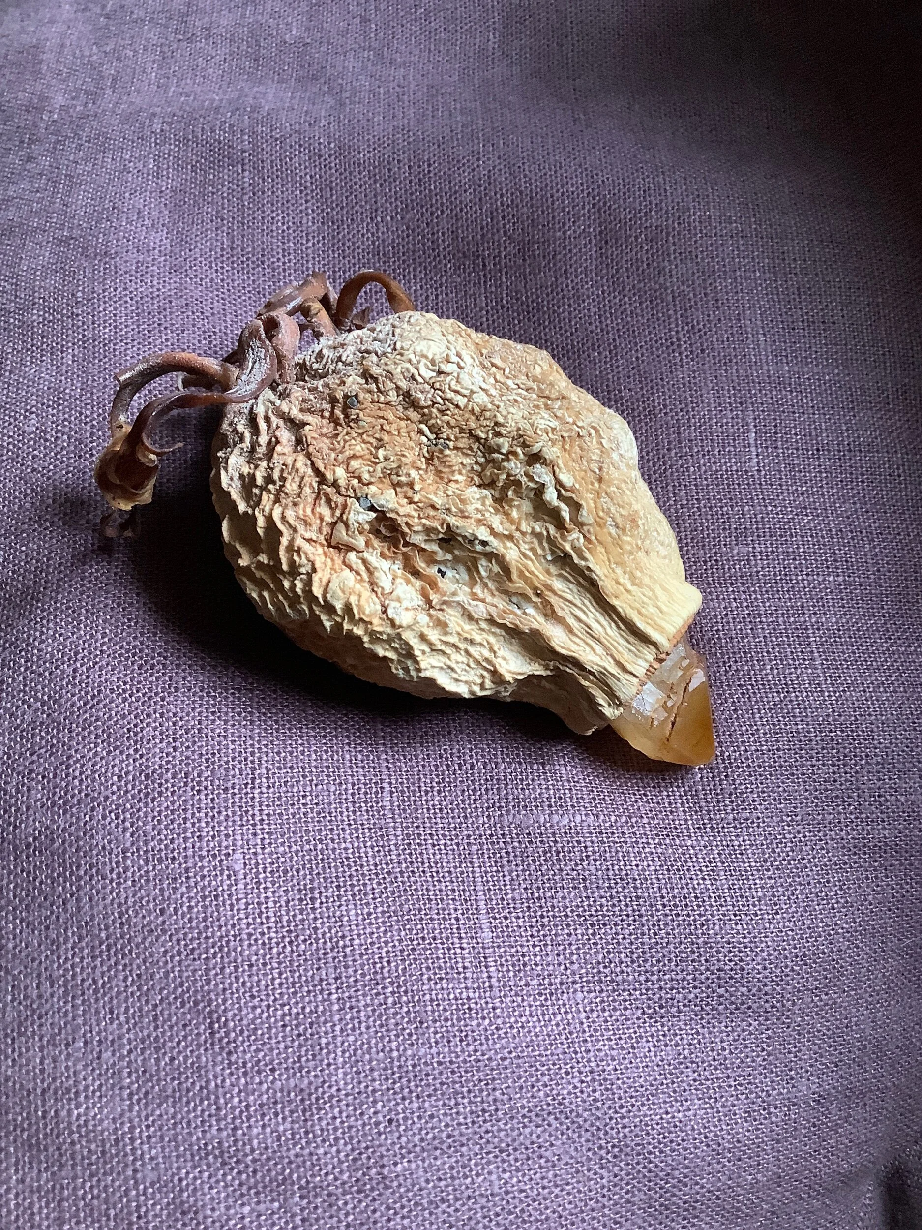 9F3FD881-0663-4957-933D-8DB2D4F37B54