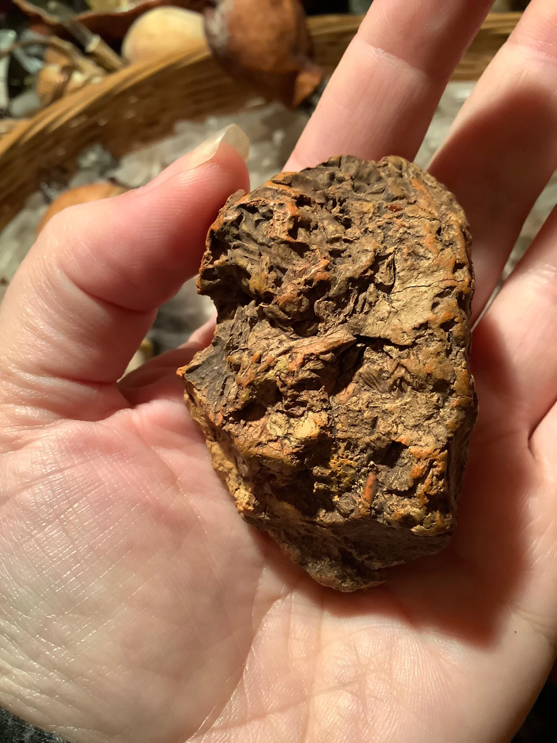 08EBB2EF-44A7-4A0C-9F15-3162183EC691