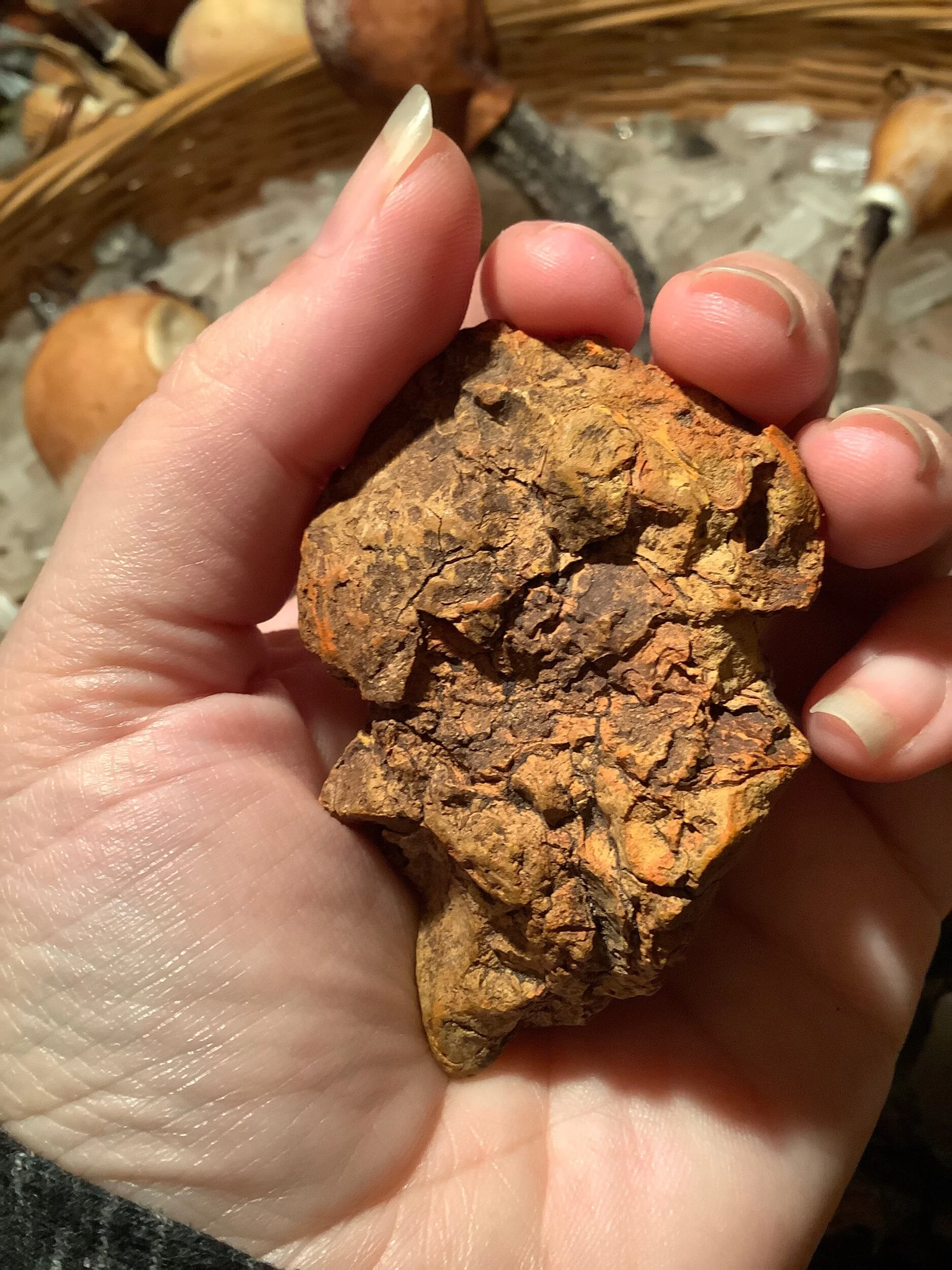 01D1655D-ABA1-45E5-B5BC-1721BEB1C473