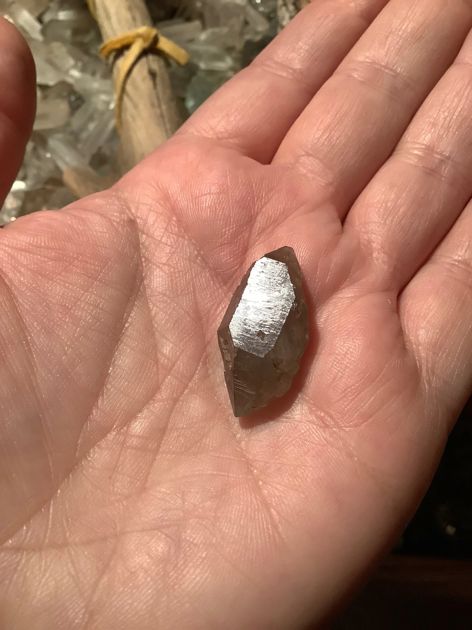 FD1ECFD1-0ABC-4972-8E42-91B7DC6395CE