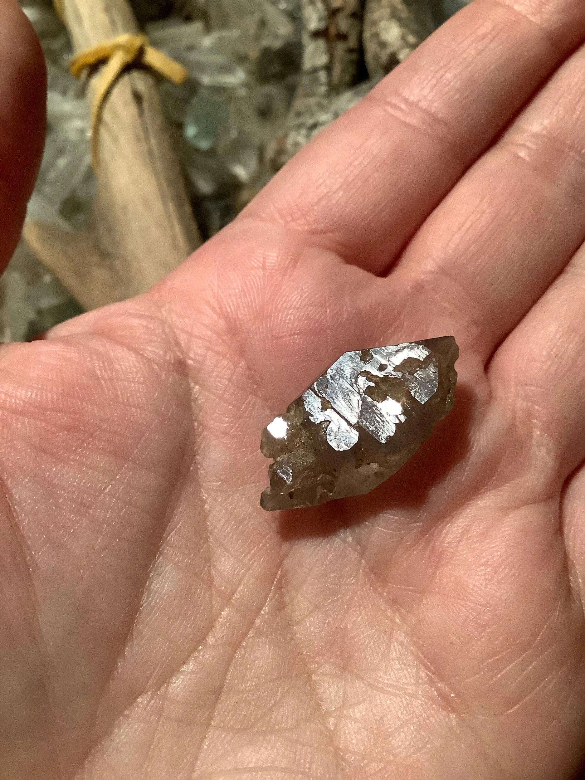 3CE8736E-568F-460A-A2CA-E9E6699C193E