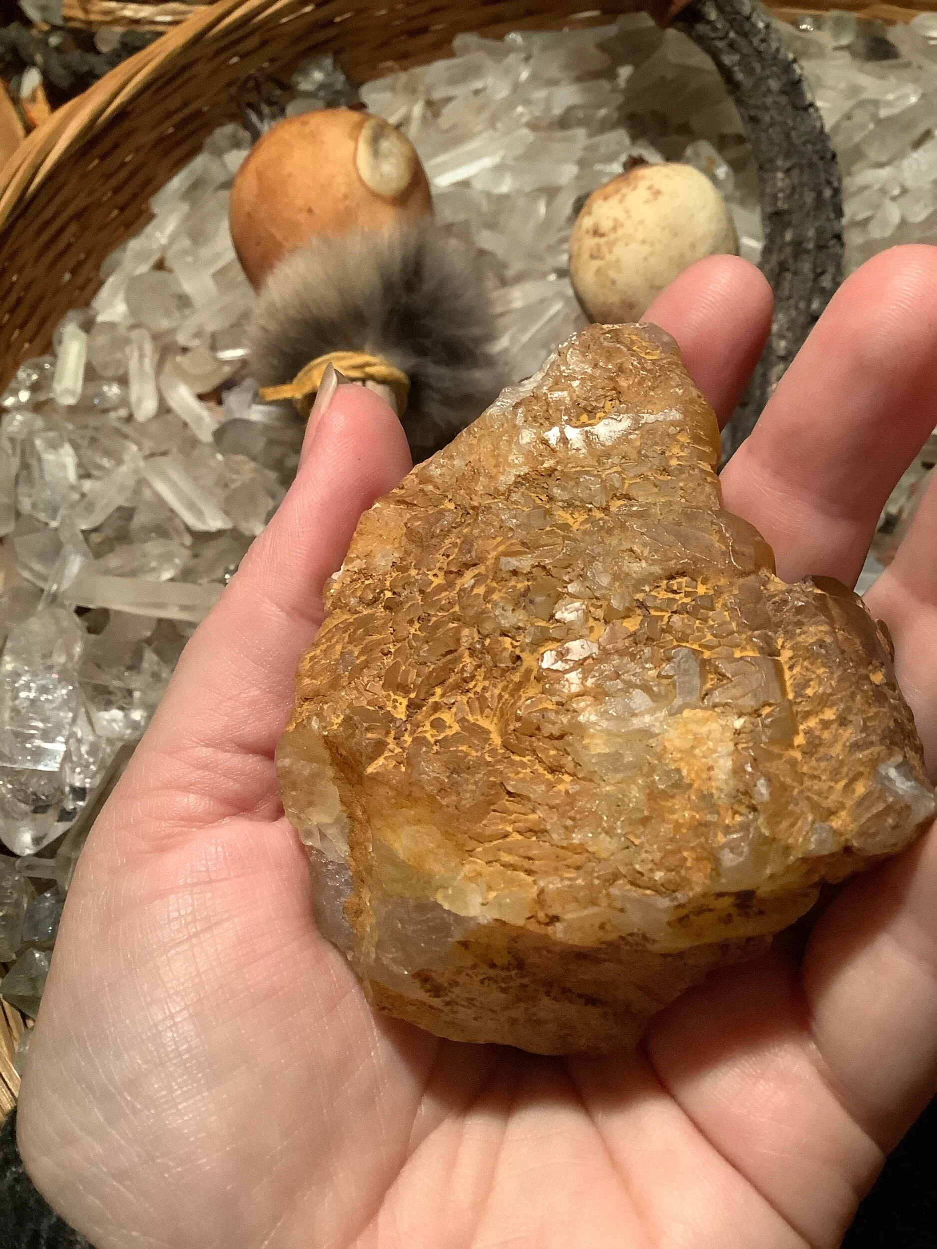 312D1F6A-B0E7-4D8D-800A-F544207B8303