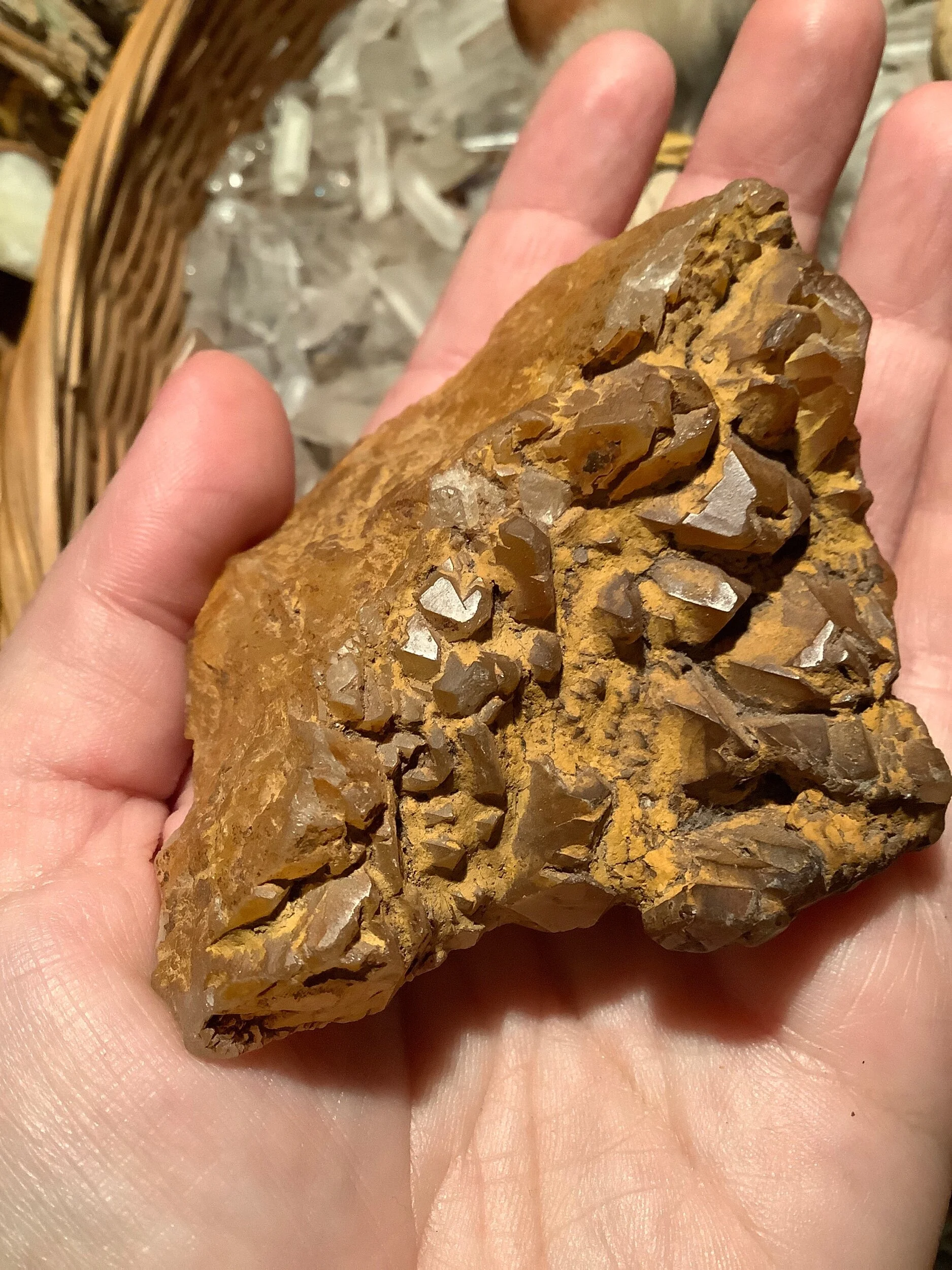 46C70419-1817-4D86-BBA7-562D1B832AC8