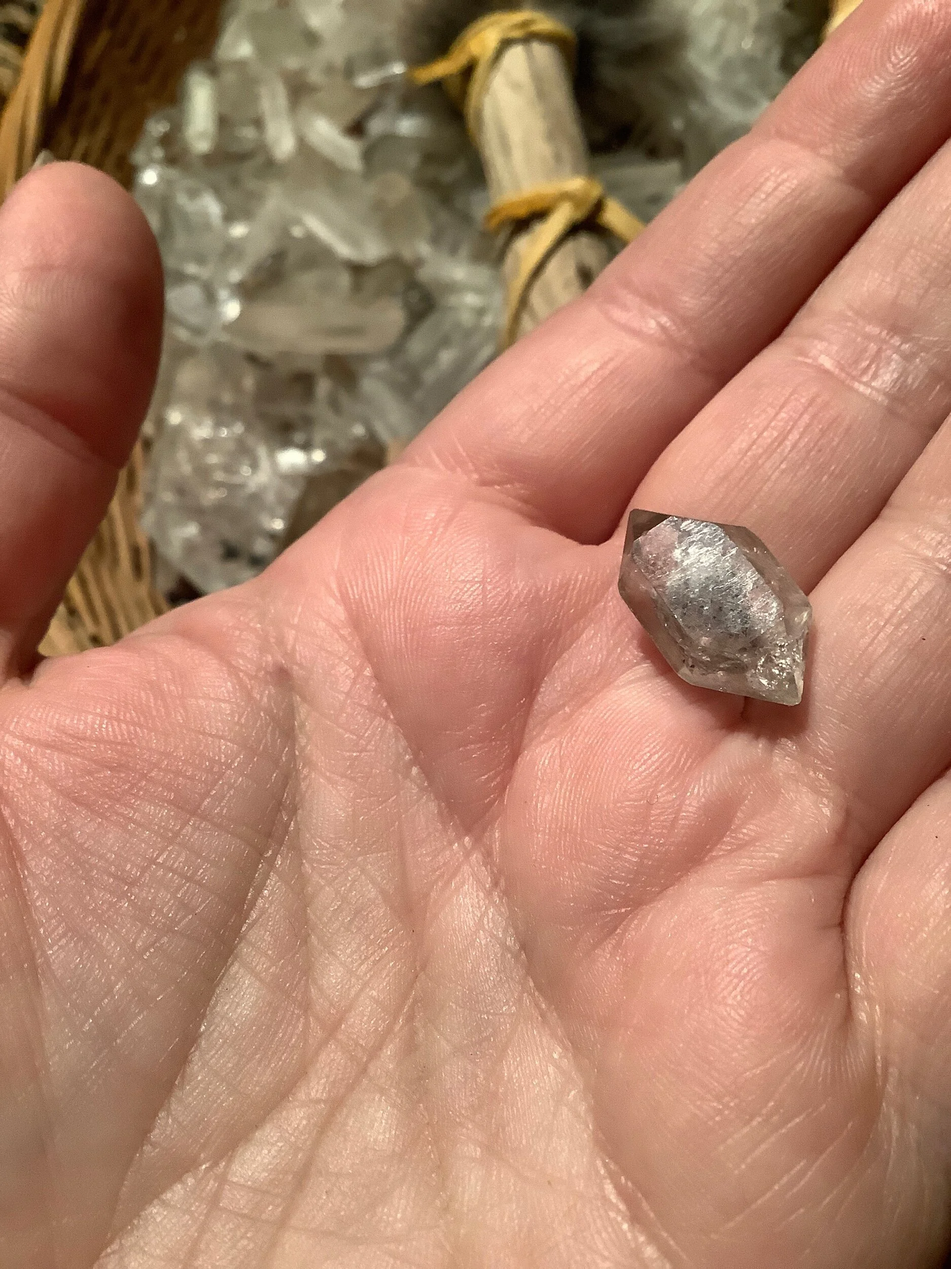 36ADA2A5-2171-47F2-8289-251B6AC047E3