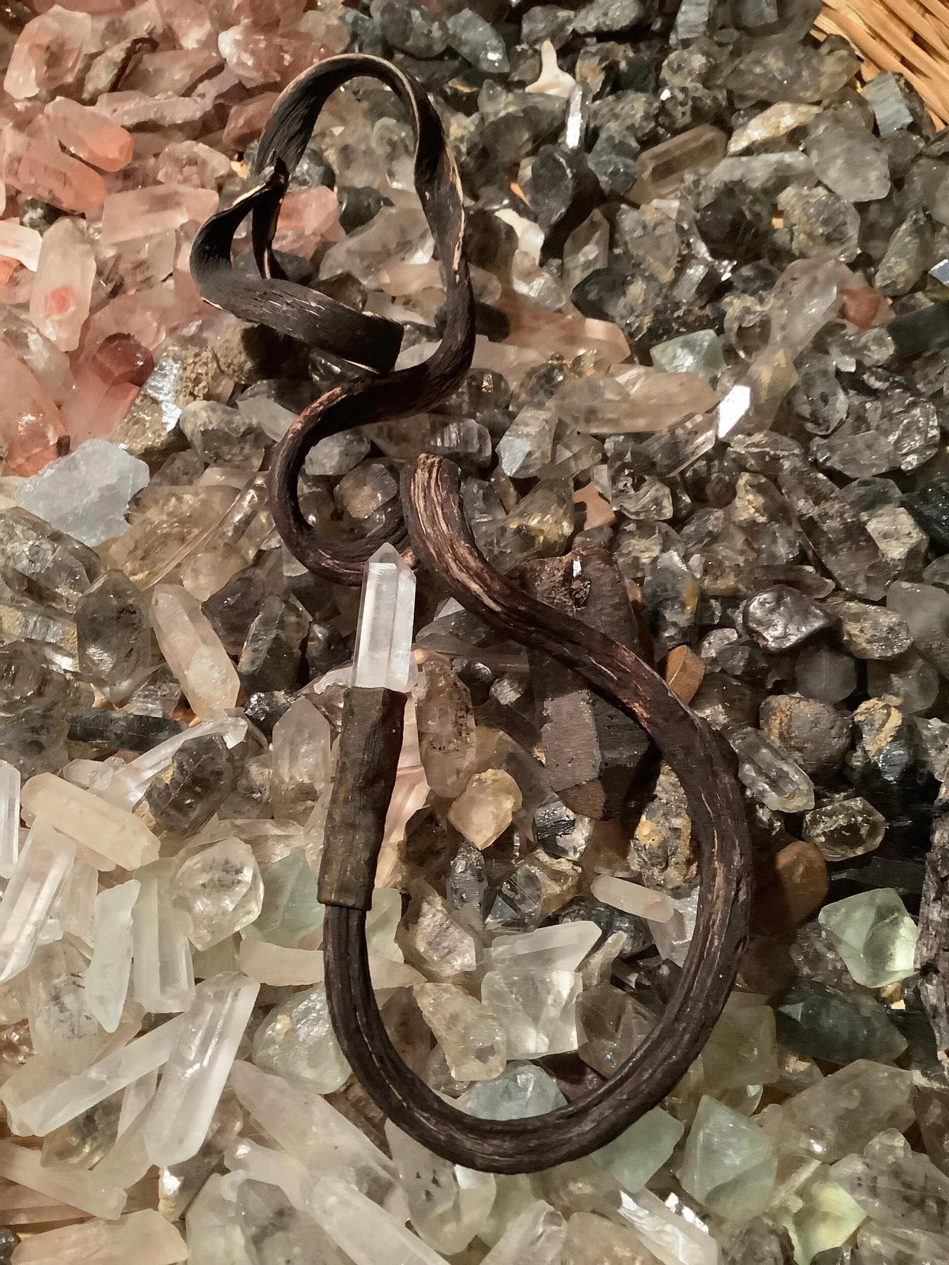 3218FA3C-19E9-4D43-BE77-FD80A40A0D87