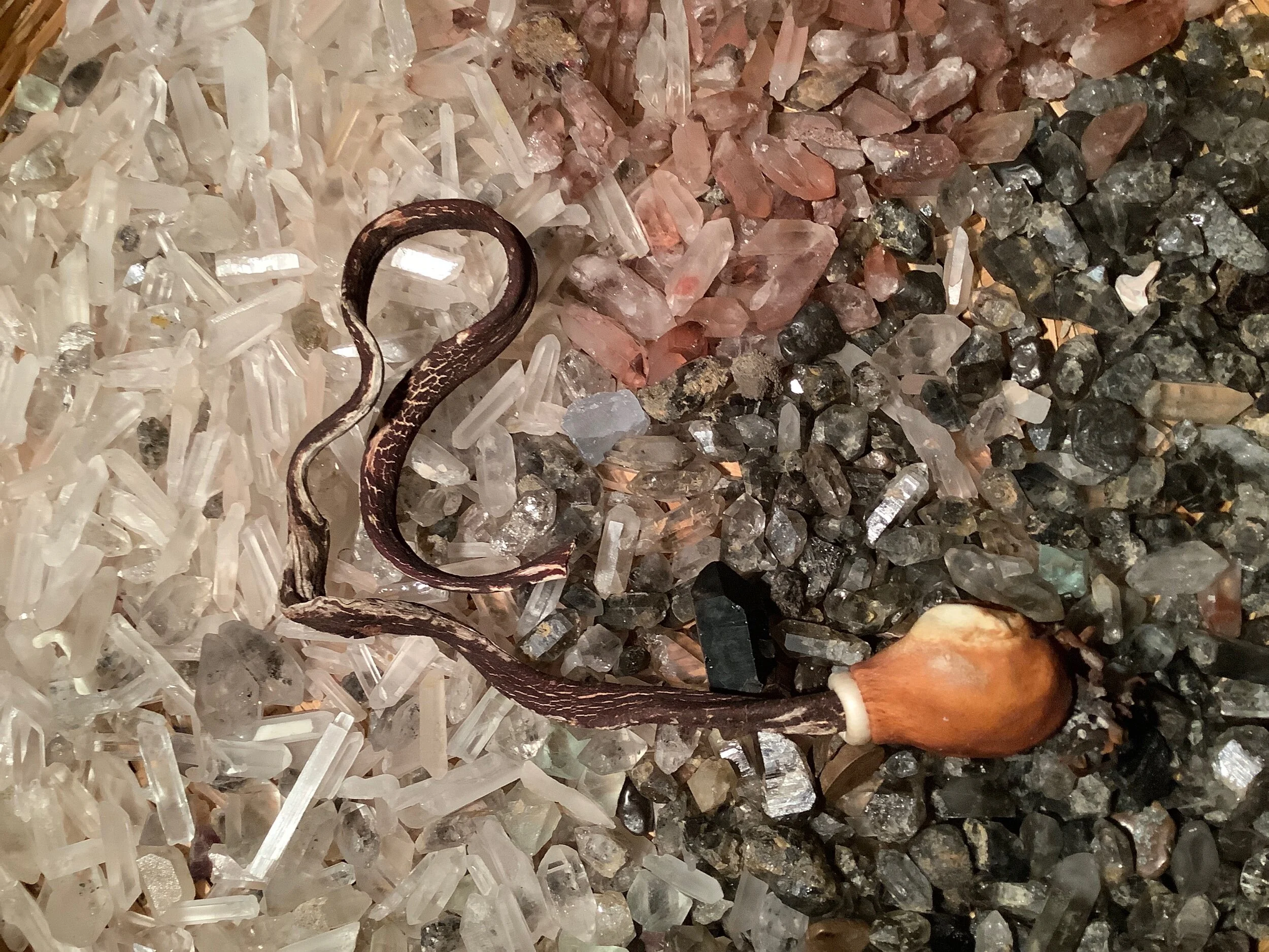 2BB12E5E-E49D-44C2-B7D0-38EBDEC7FFEB