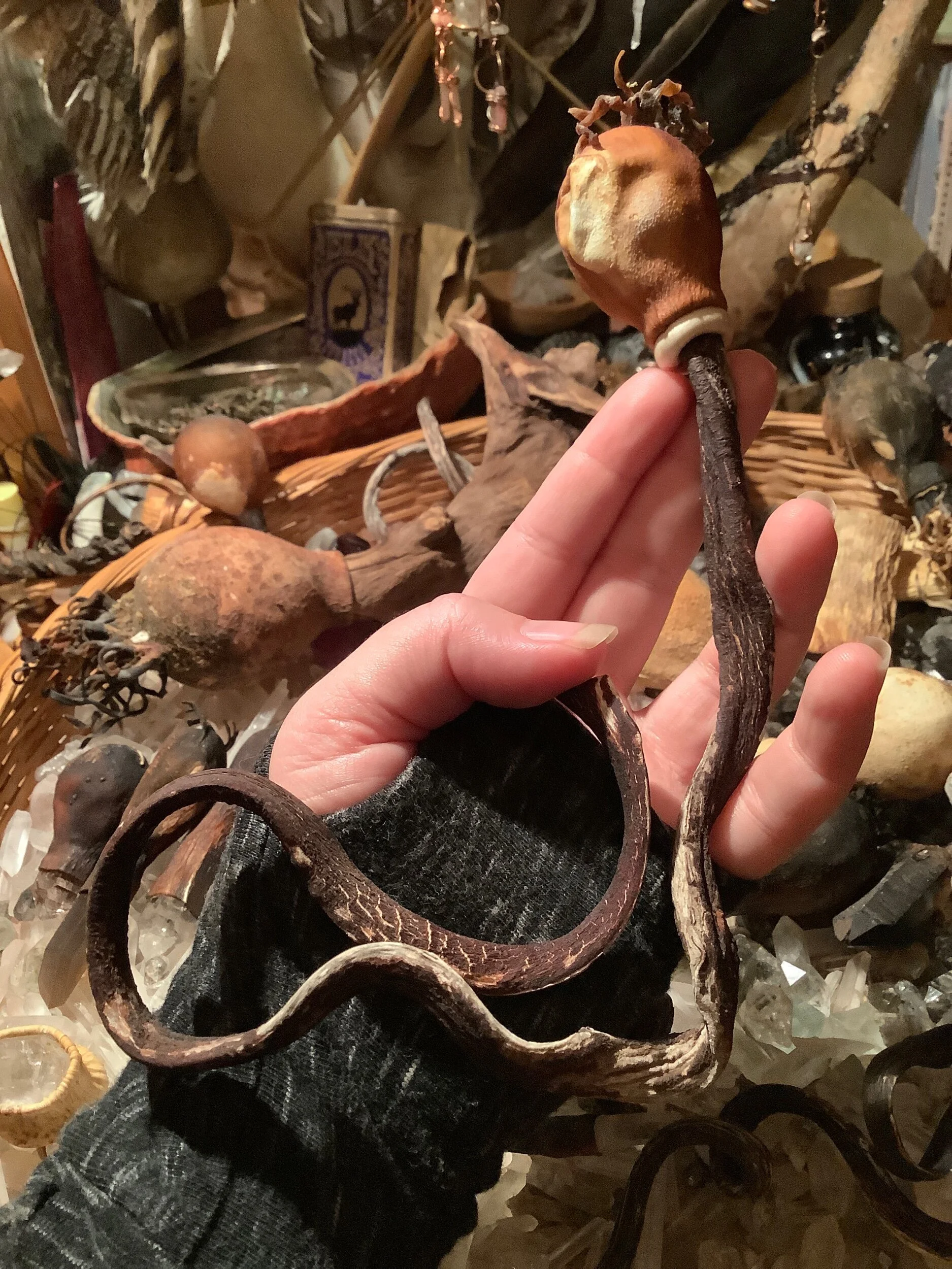 47839989-96DC-49A1-B2A1-E5923614F08B