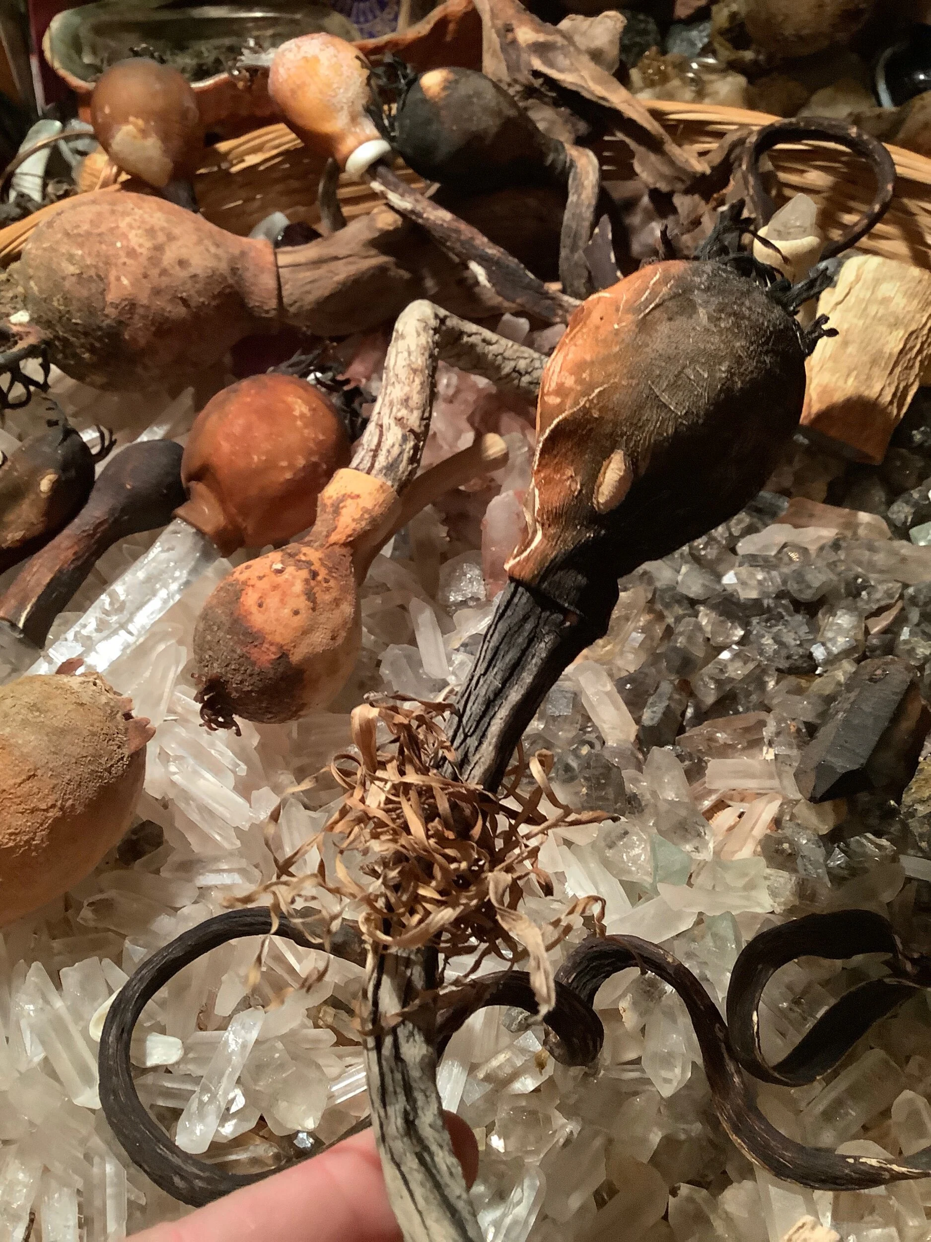 3062C351-D666-4509-A9E5-B73BAD0EED07