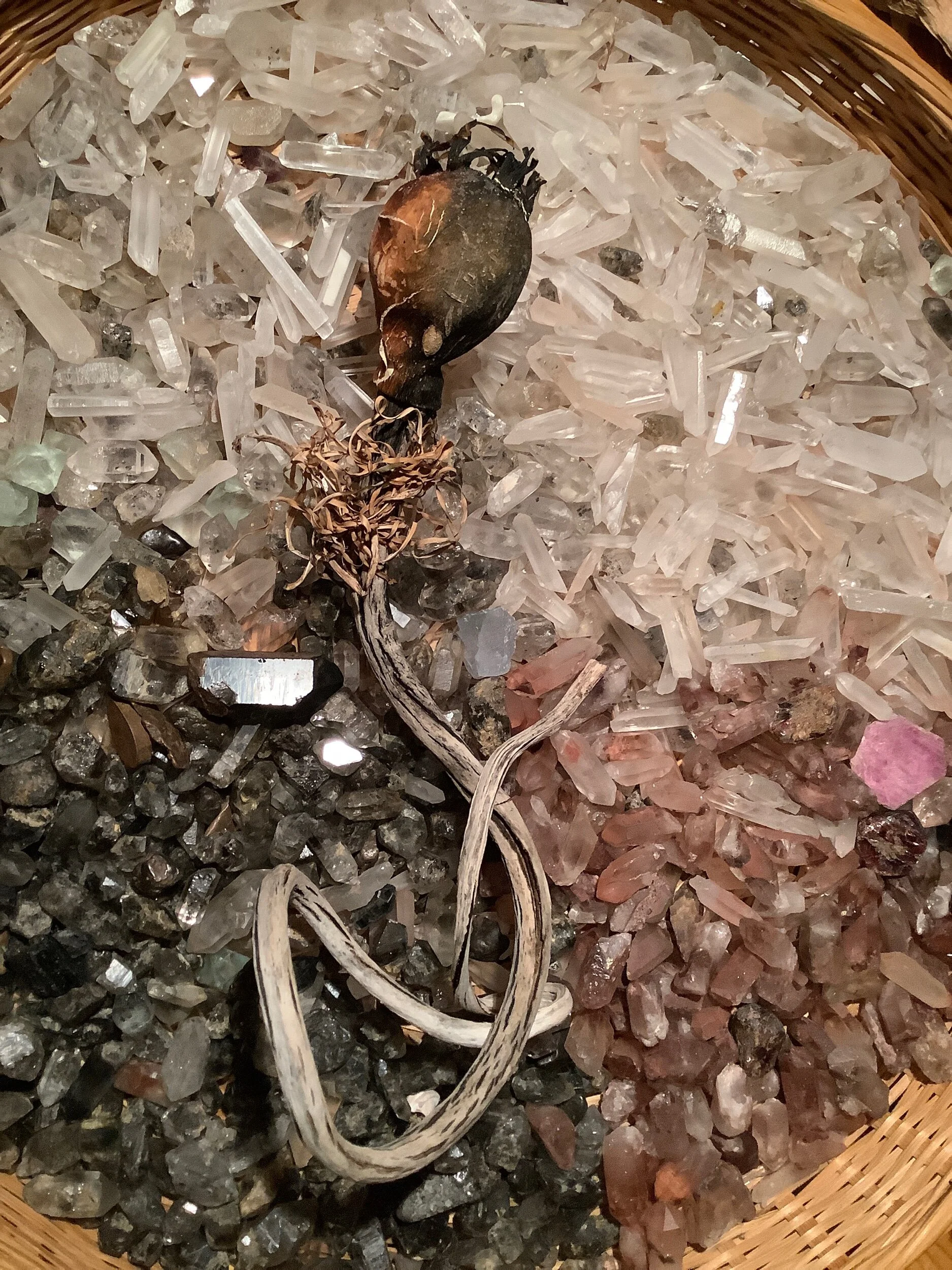 C6AC5E07-EB45-444F-A2B8-A3DF9499AF88