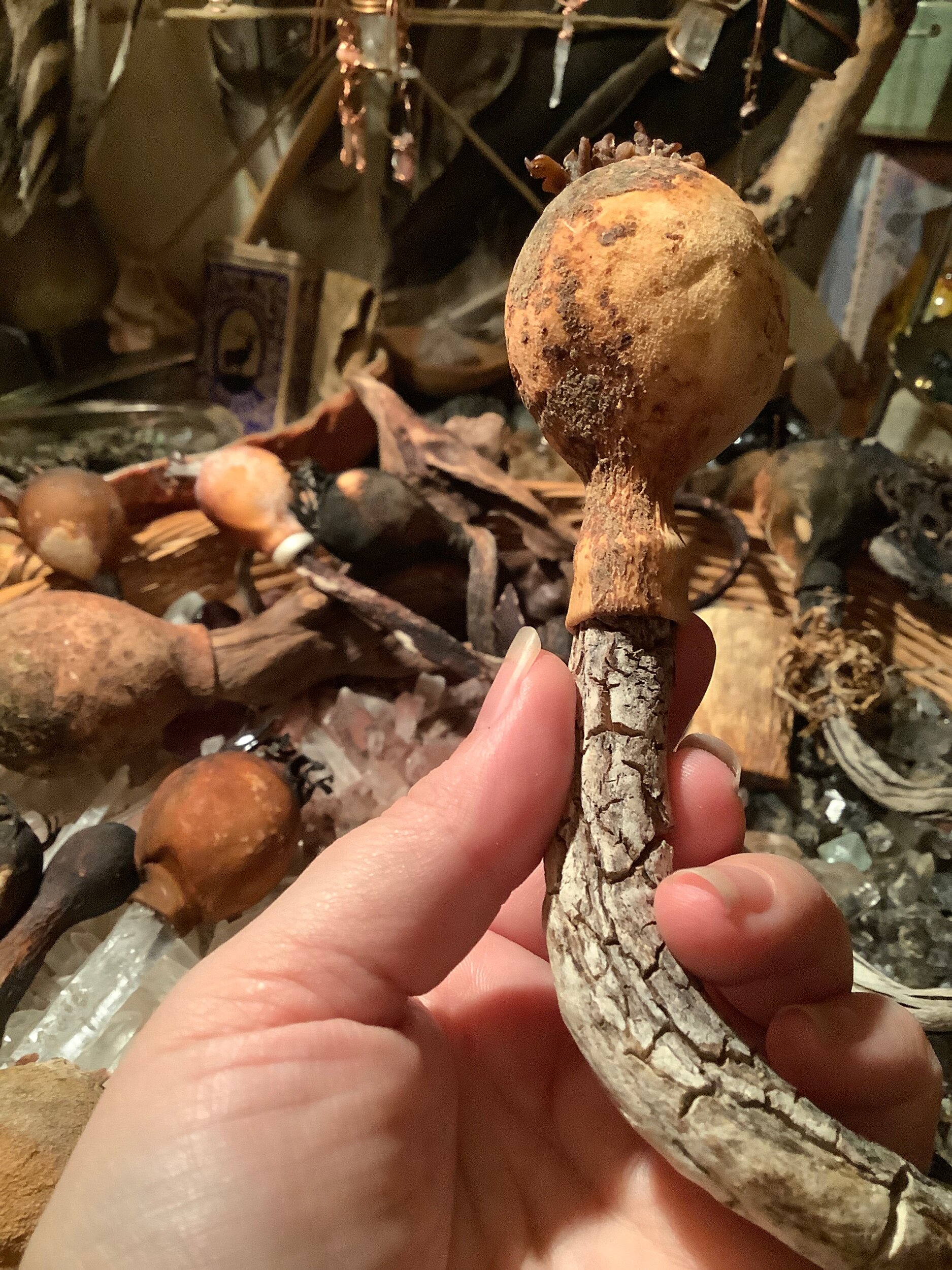 950441DD-1D95-4C8A-A47A-4D19D12A4264