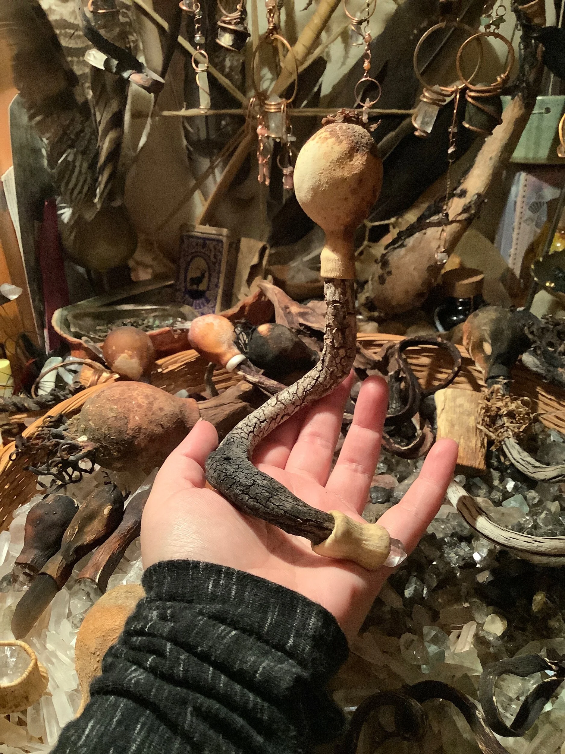 F3216C62-F75C-4309-9359-3E8FE00277F7