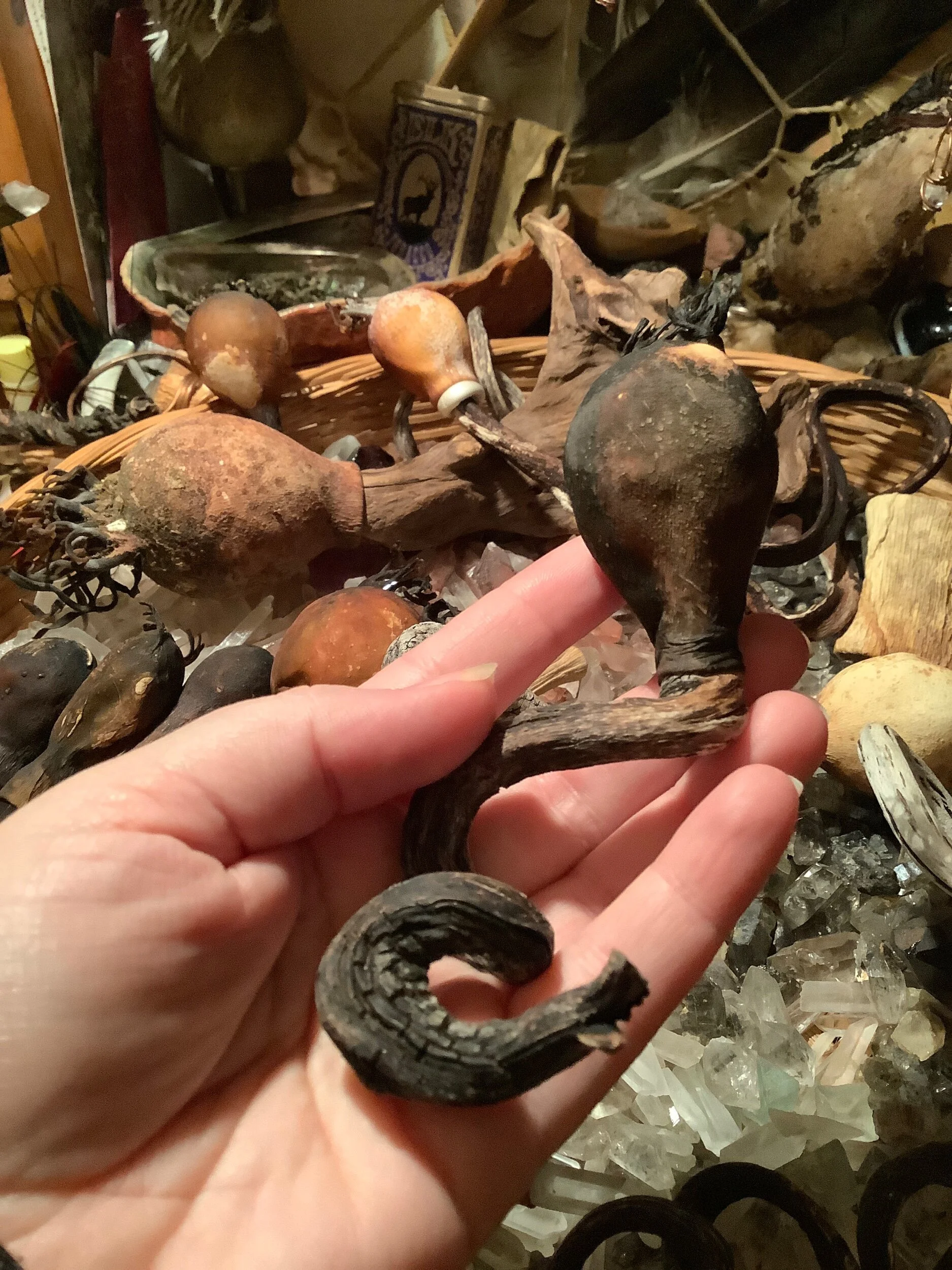 6C52C265-7D0E-49AF-8319-5CD0B1CDC053