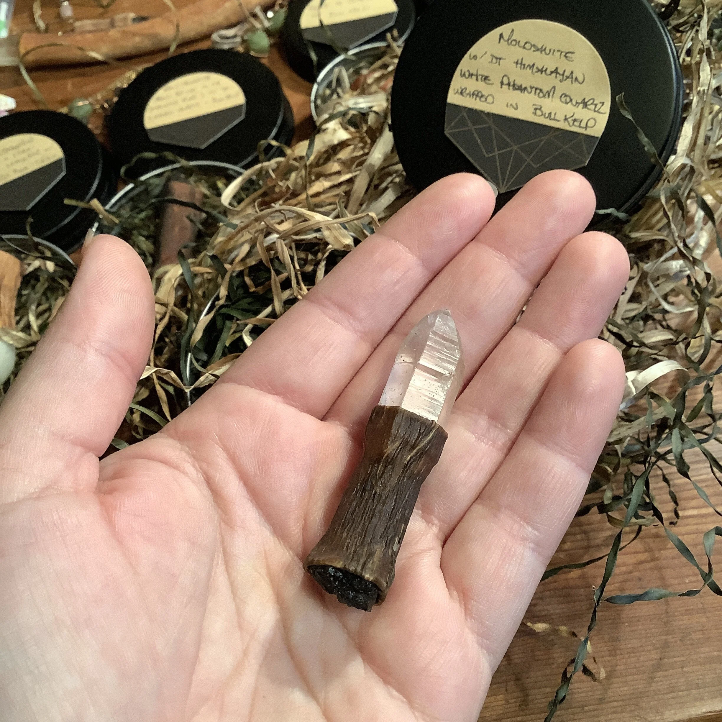 95053371-C32D-480B-8826-7E3887CA4762