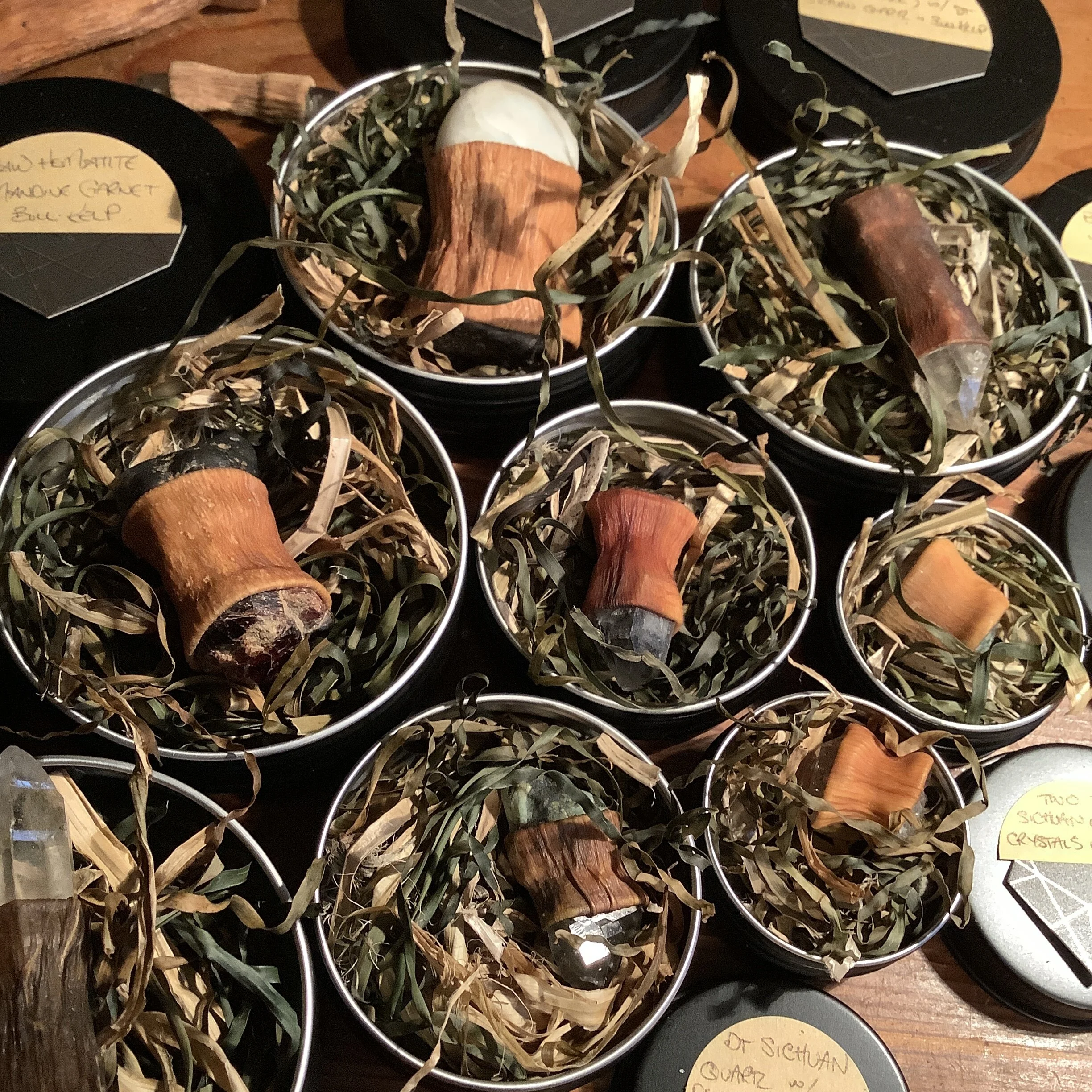 AA81F24A-D0CE-4F7C-88C8-858DB102F639