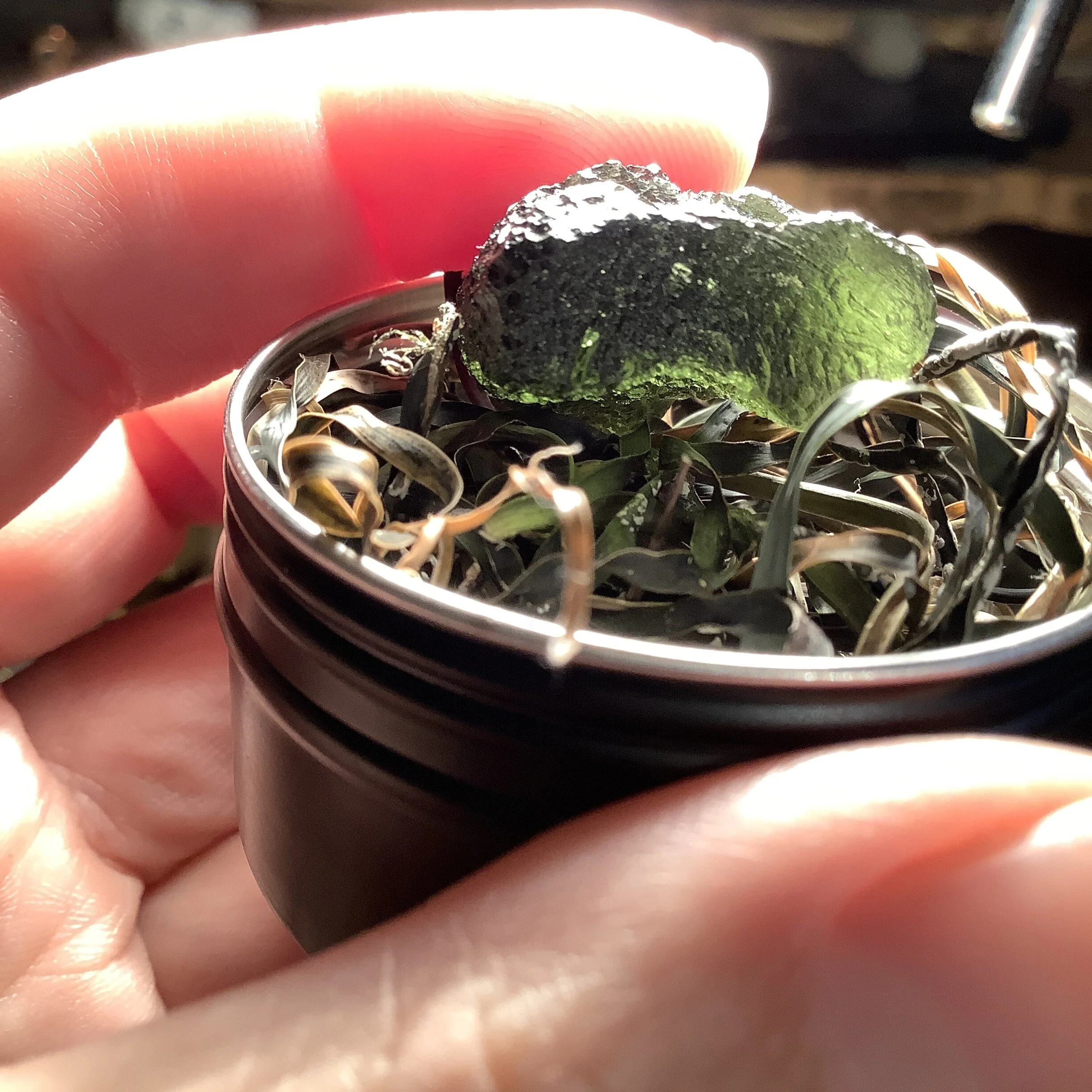 0AA44A47-E667-4A49-BAD9-FF33084451ED