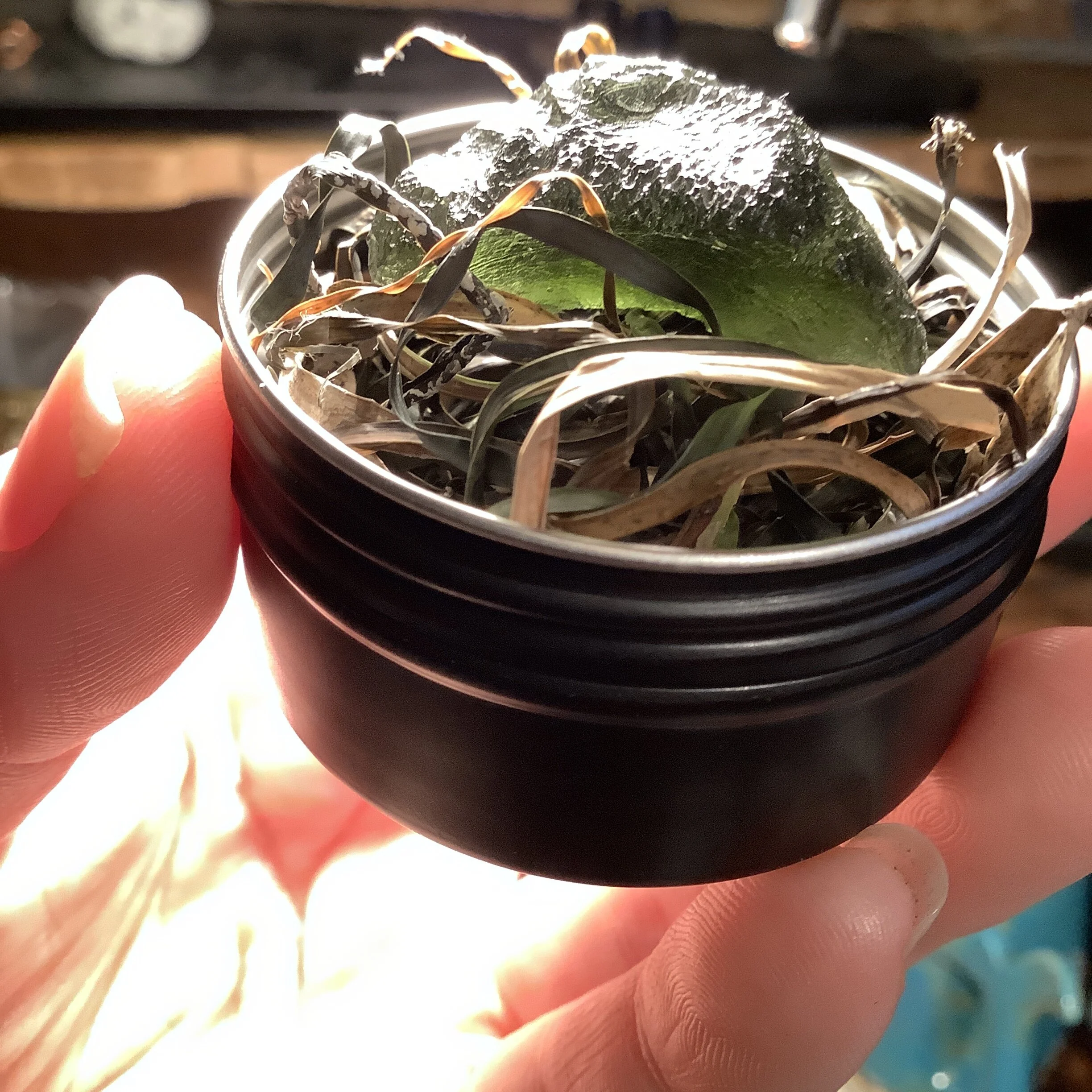 CE885E63-765F-4D81-961D-CD8E1A2C255E