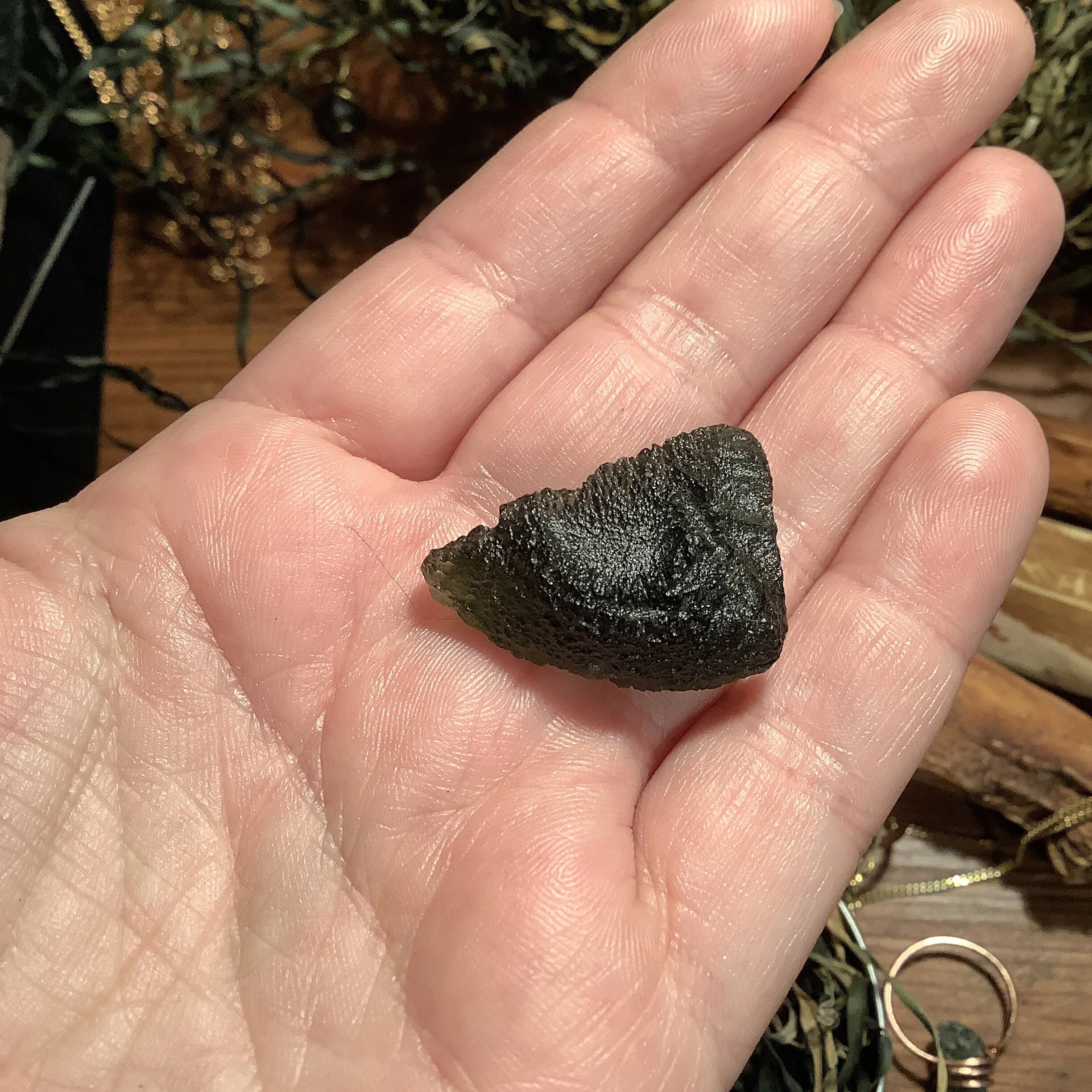 DB045F73-0CF0-4059-9D3E-154BBEAABAC4