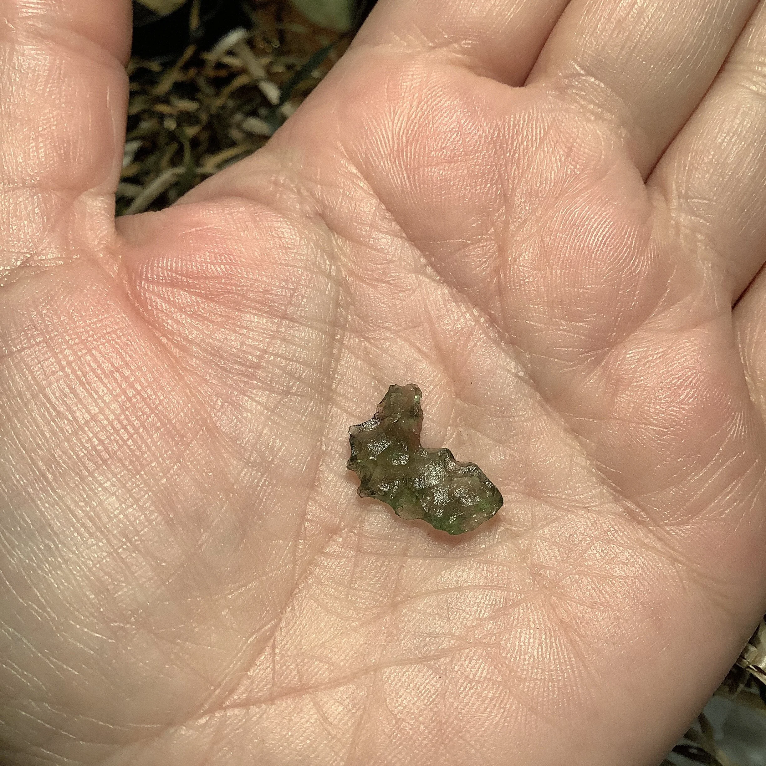 499C3348-22B2-4661-8664-D1E774C24E7D