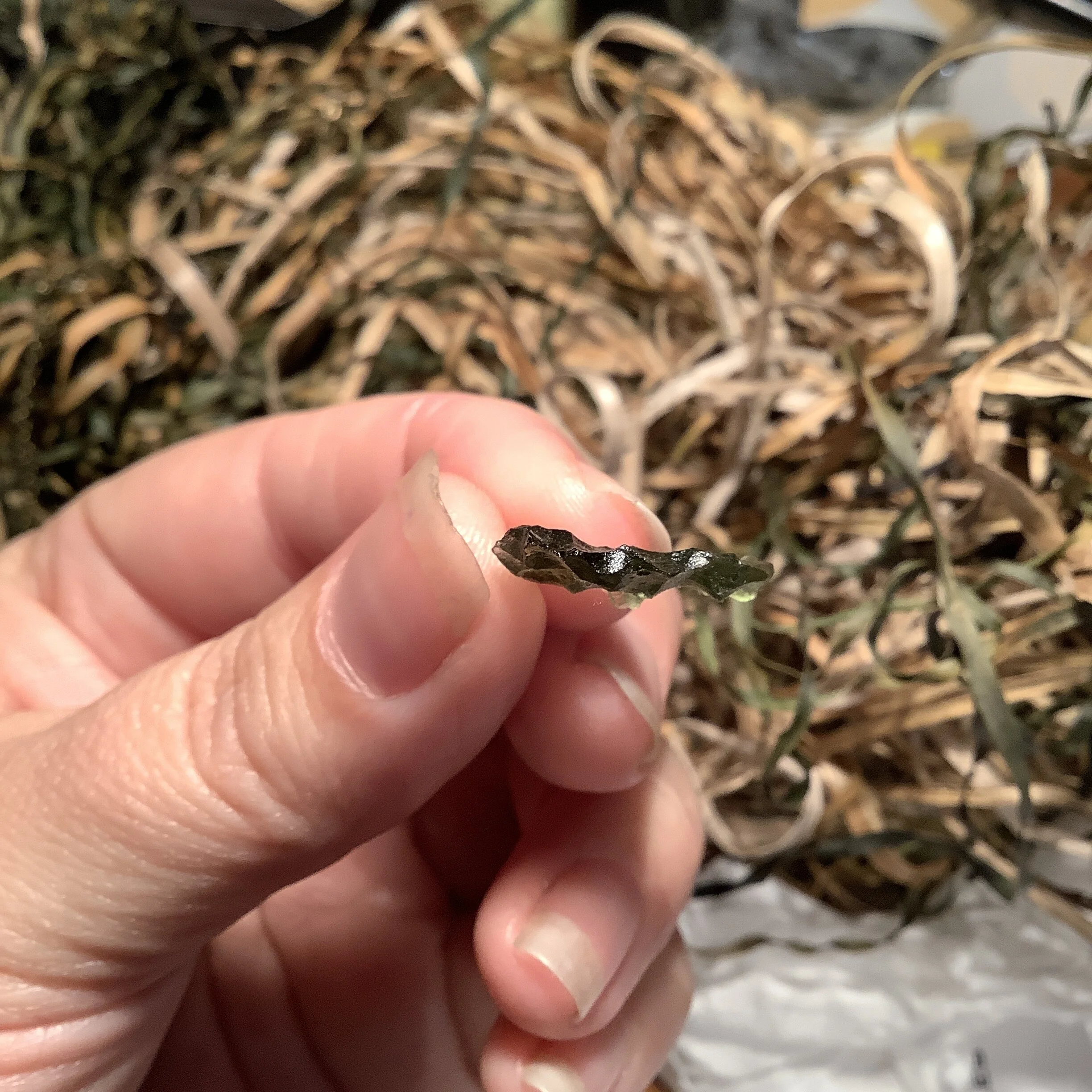 0BEA43D8-C6D7-4029-9E08-CD5AC348EFC2