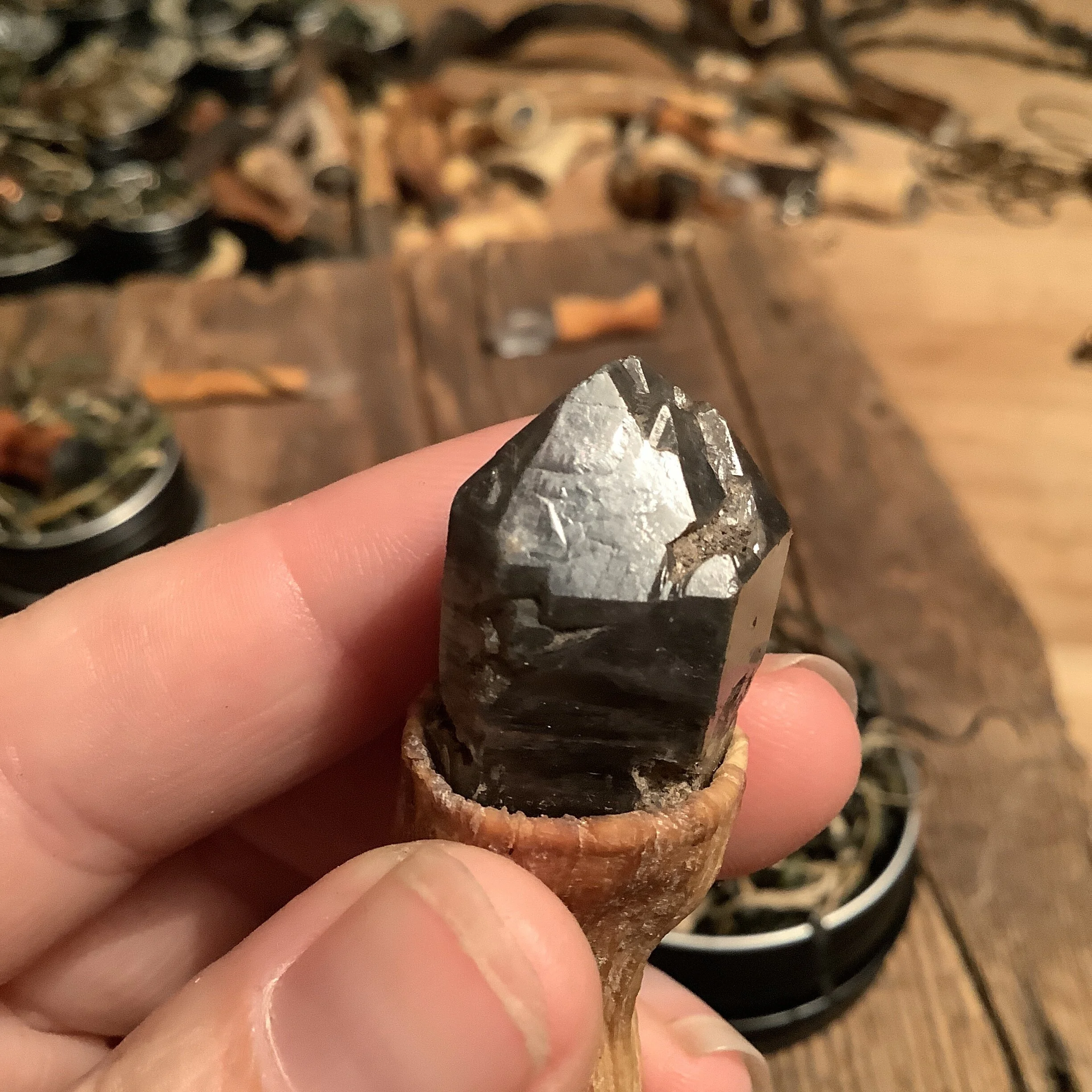 C84340AB-980C-4370-A42C-CC3746690872