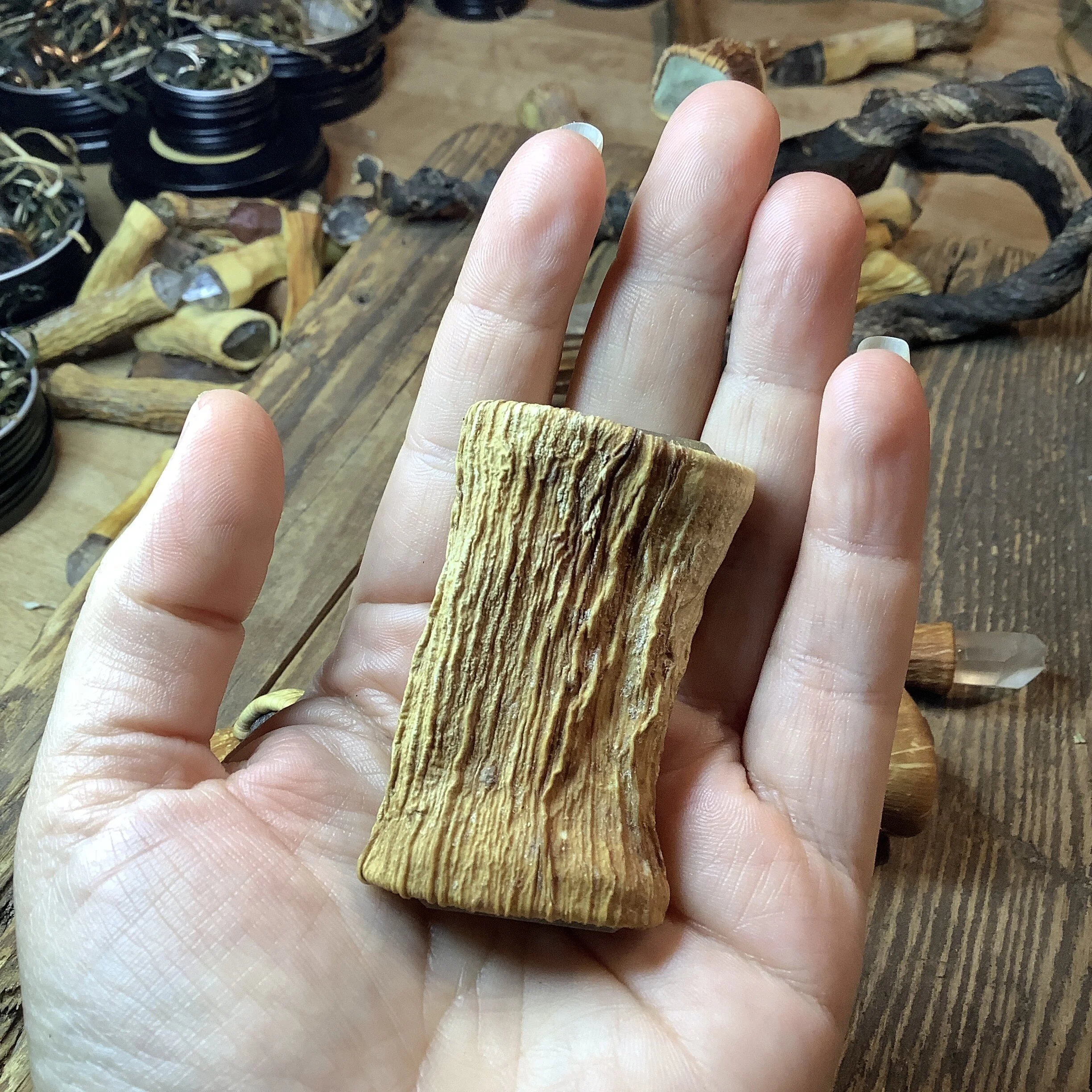 871308FA-CA1A-4126-BF7F-E35C9091E4A2