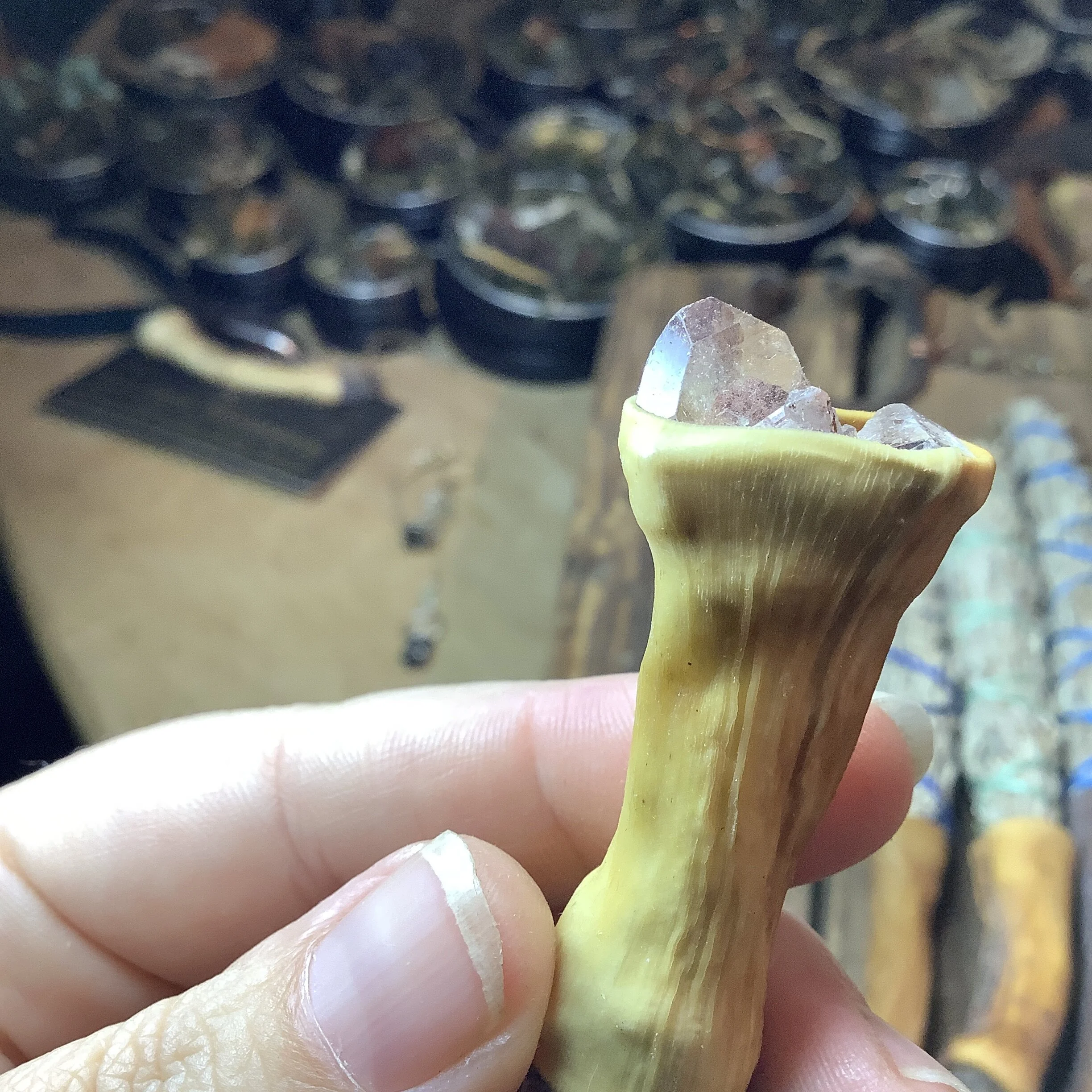 087C72E5-9D6F-4260-B331-2D1B5A72F814