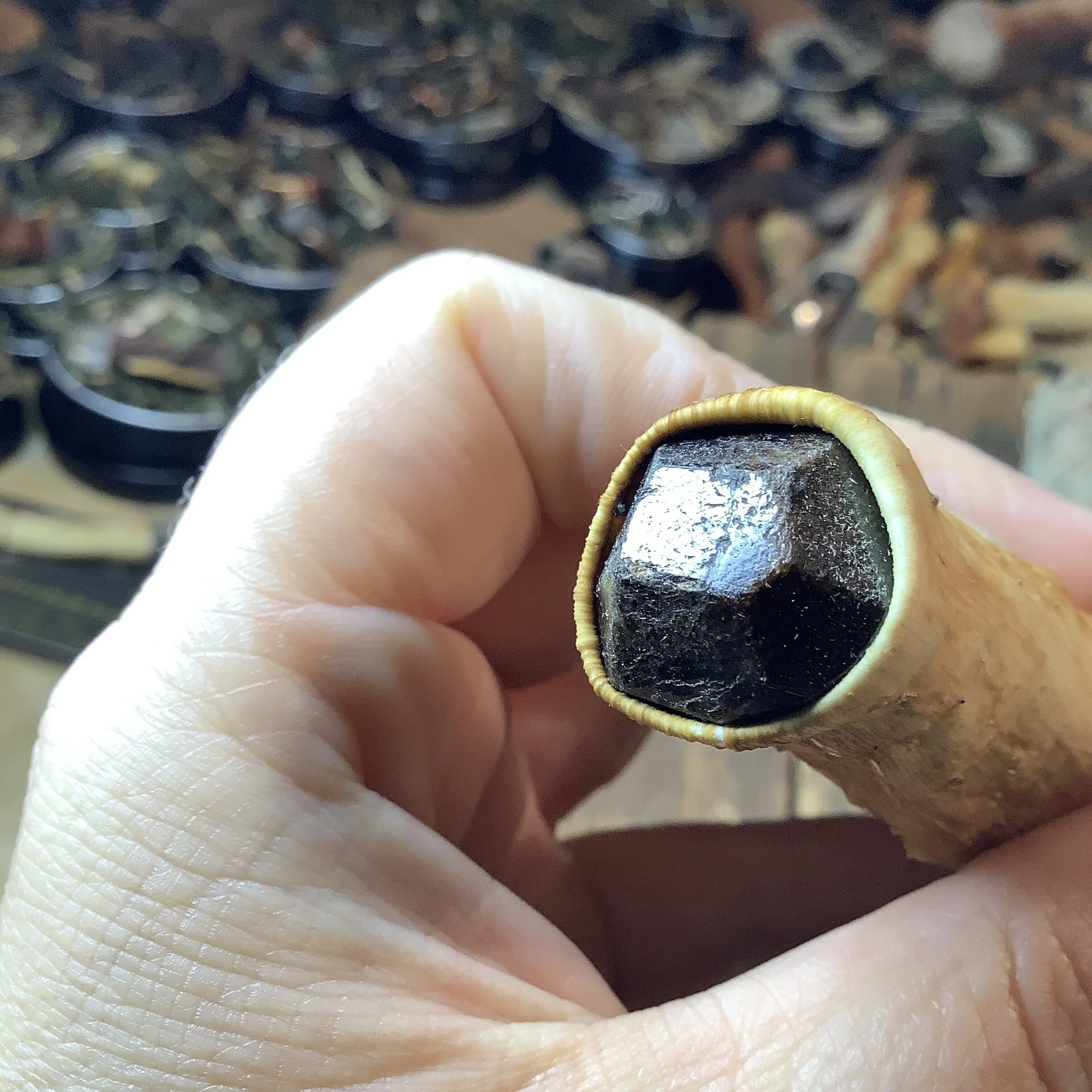 CCF0D85E-7861-4EA3-BABD-7DF553FC9DB3