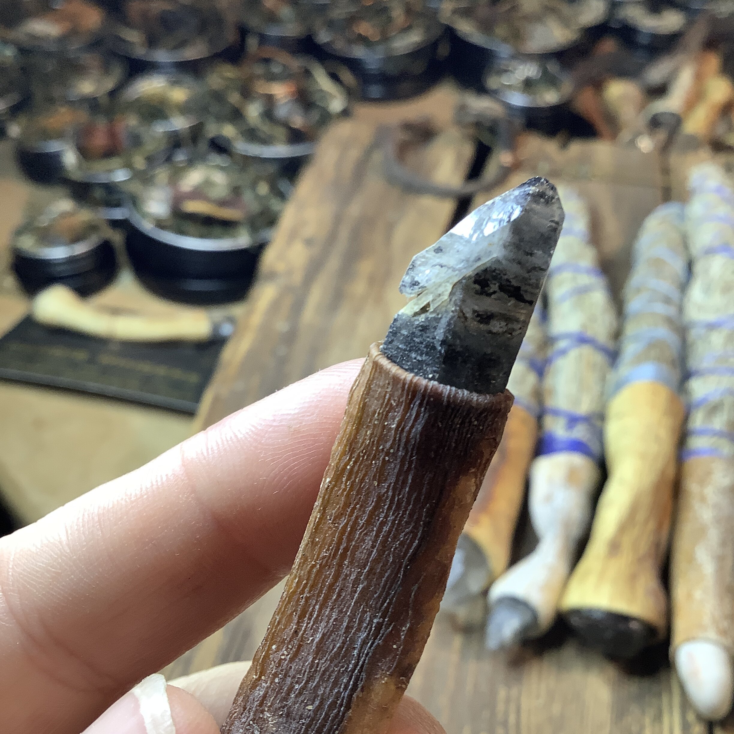 F4141E5B-AFBD-417A-B344-B4BD61AC98FF