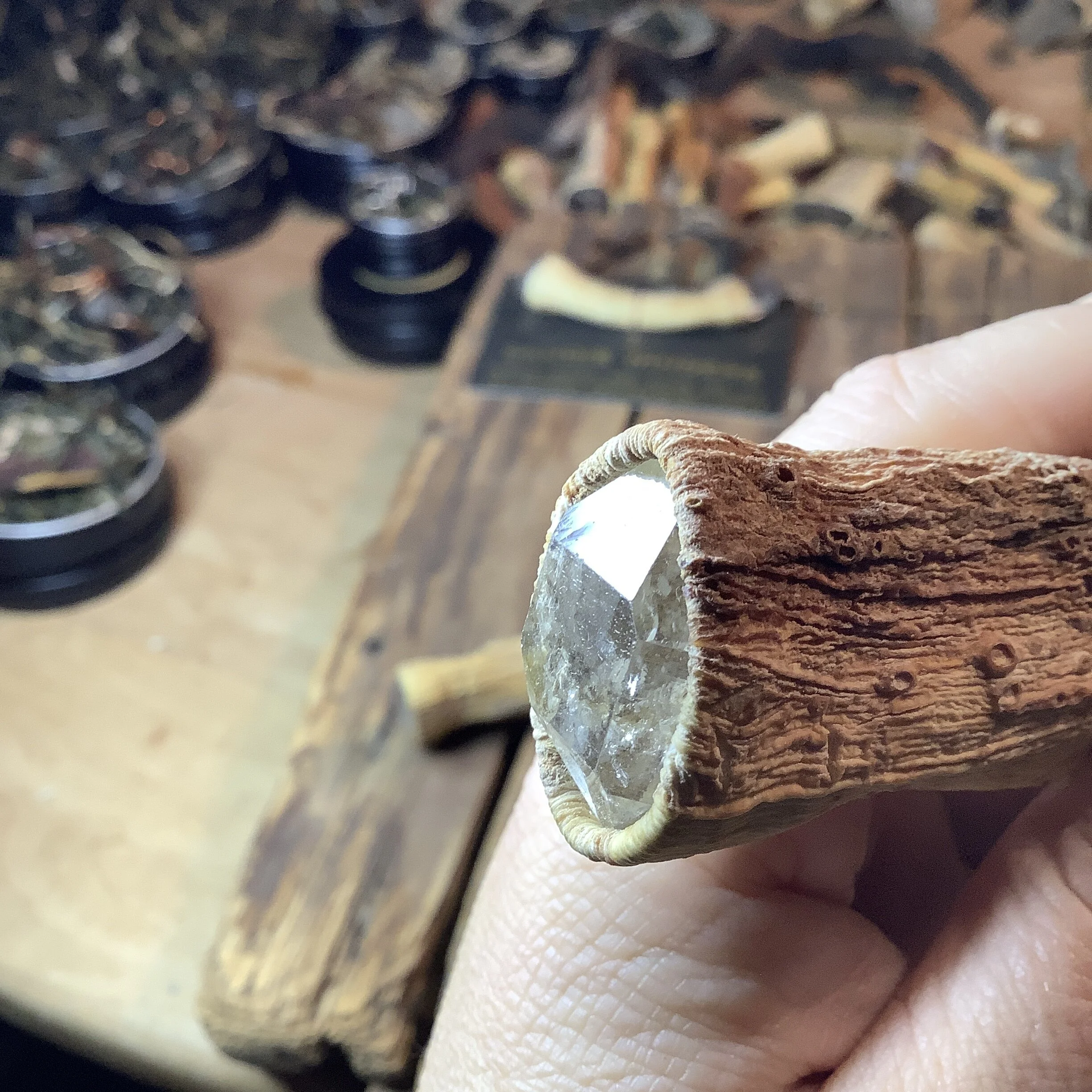 0A8C5F2C-1ABA-4D07-8B2F-9097A1AC6180