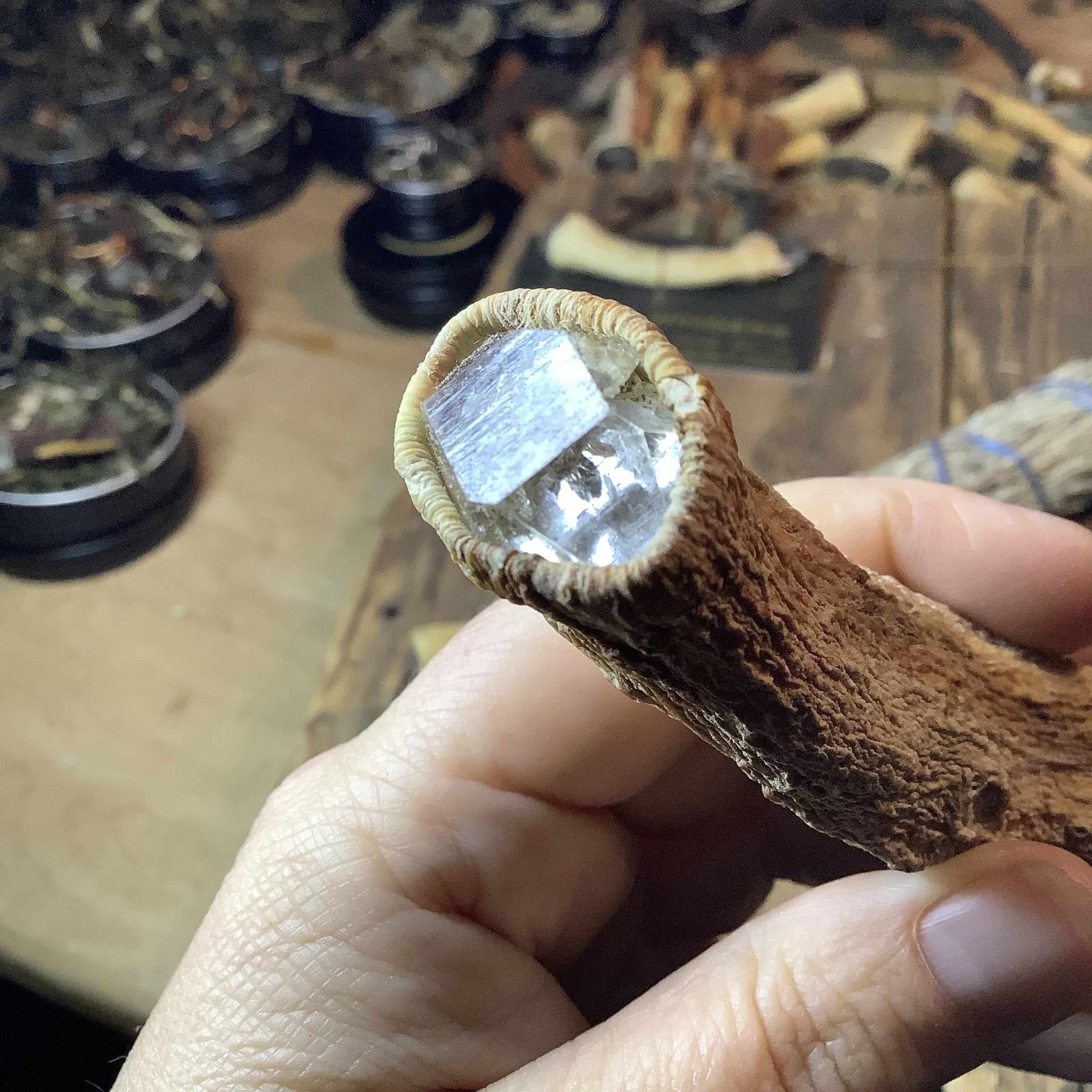 CF840613-A2B8-4798-AE52-0166CFAFCCCB