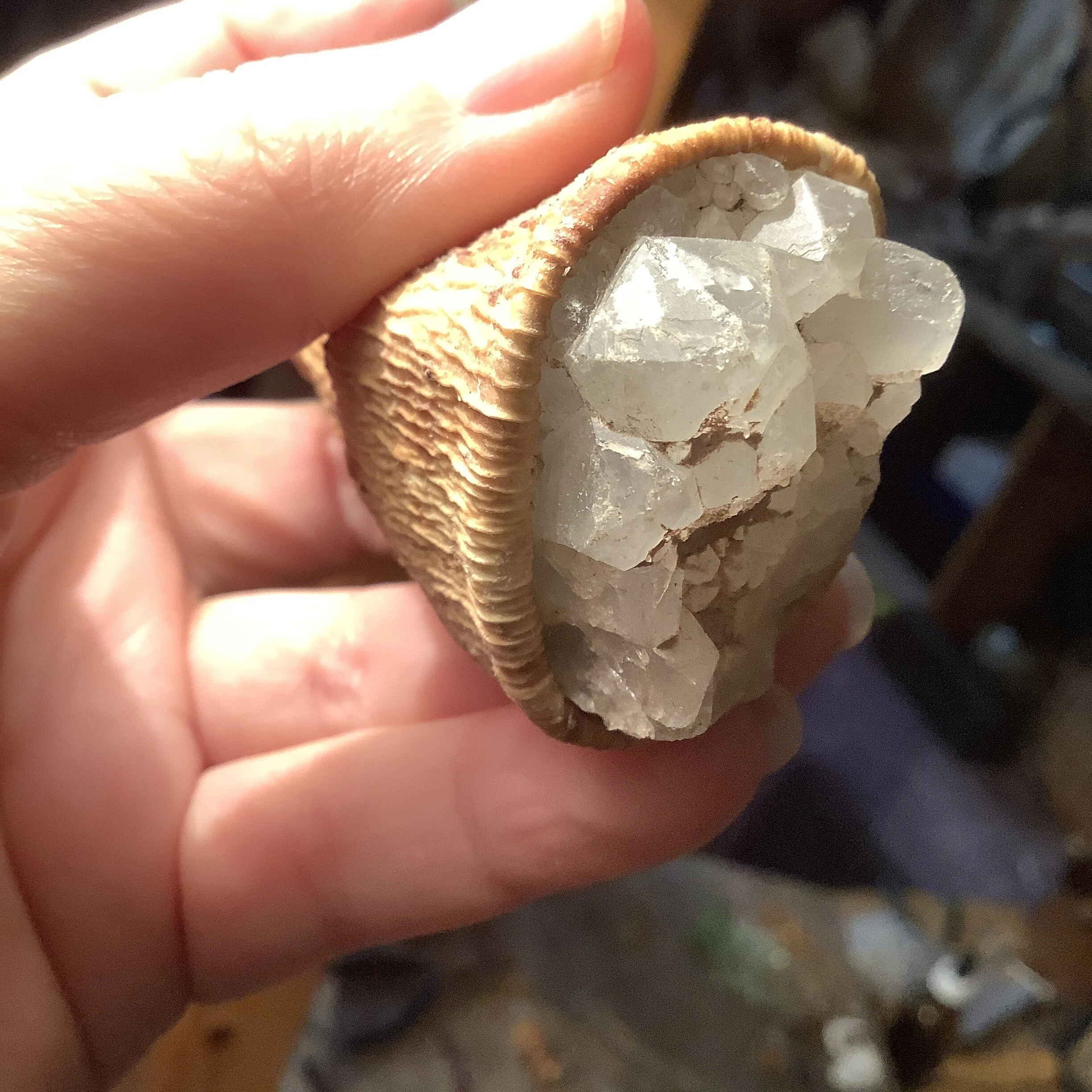 C8F6C04A-D9FB-45CE-B5DA-9986B2F3A7D8