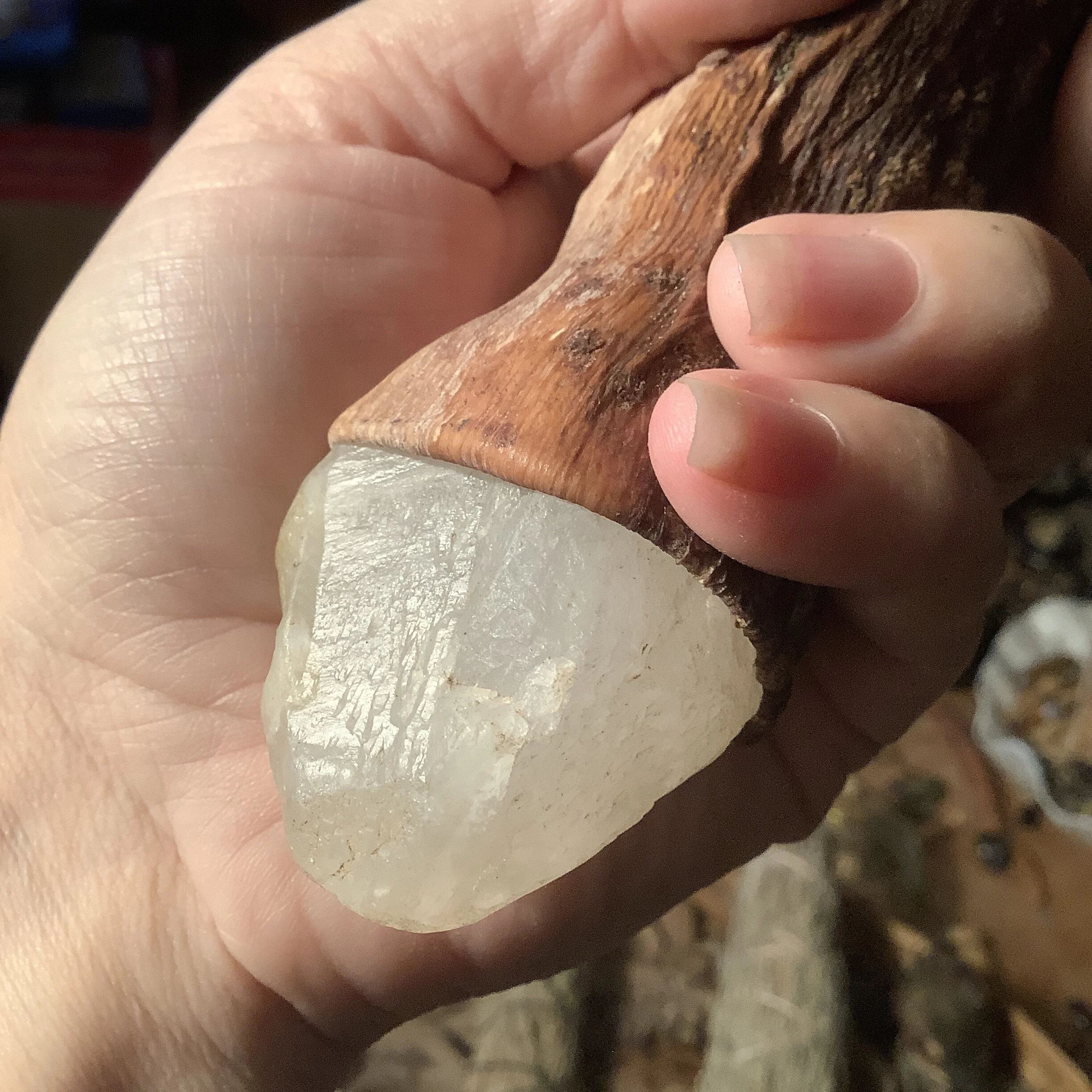 724B68AC-3725-4898-B4BA-0814C3771155