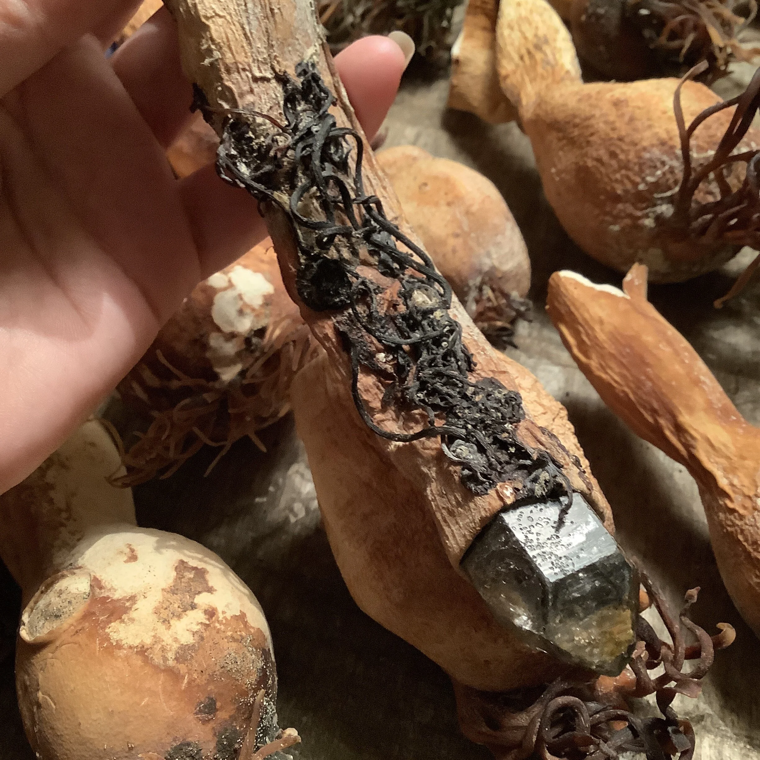 DE718FD7-B5EB-4451-9876-81792D1AE489