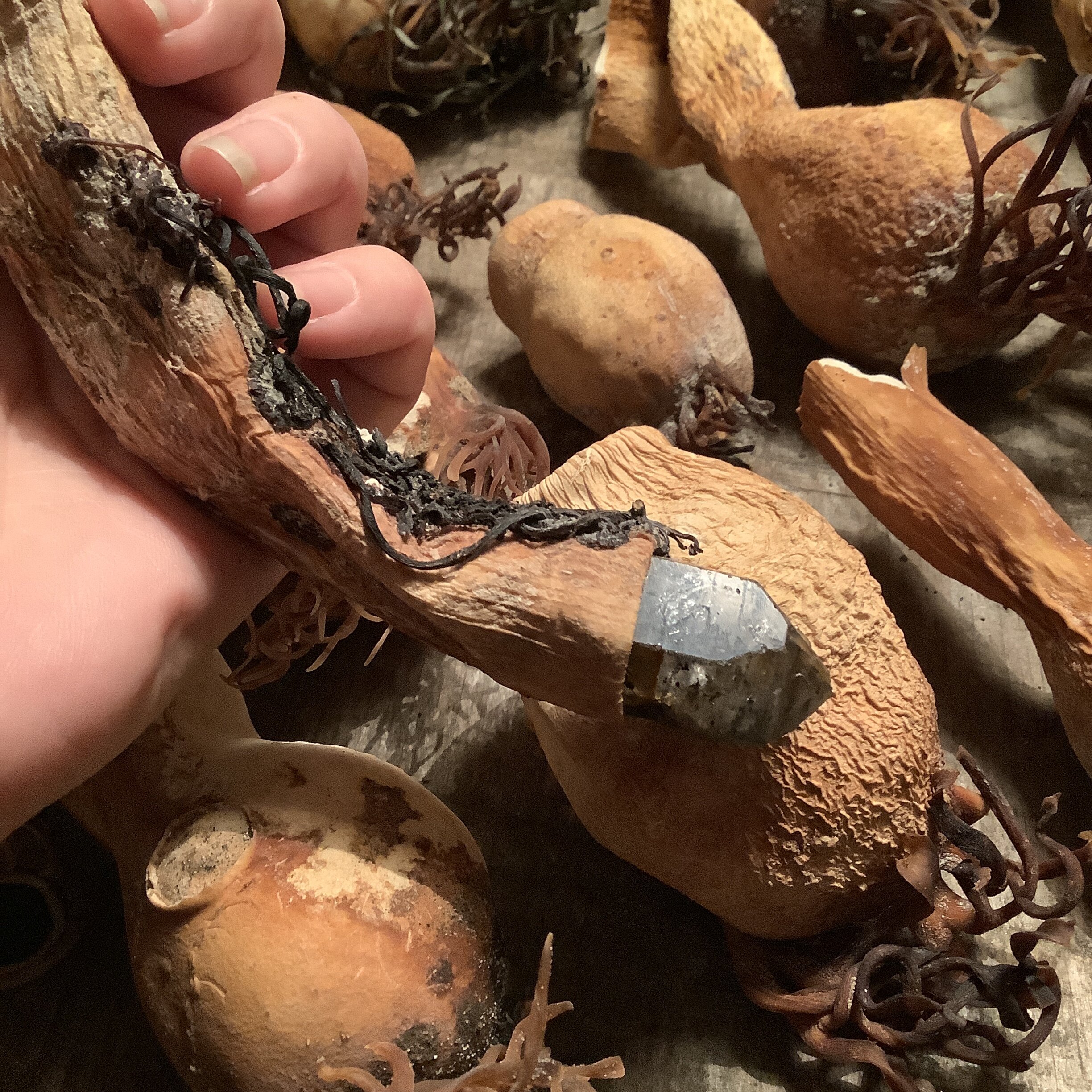 BDACAC8A-6195-4C51-922D-BF897DBE81F7