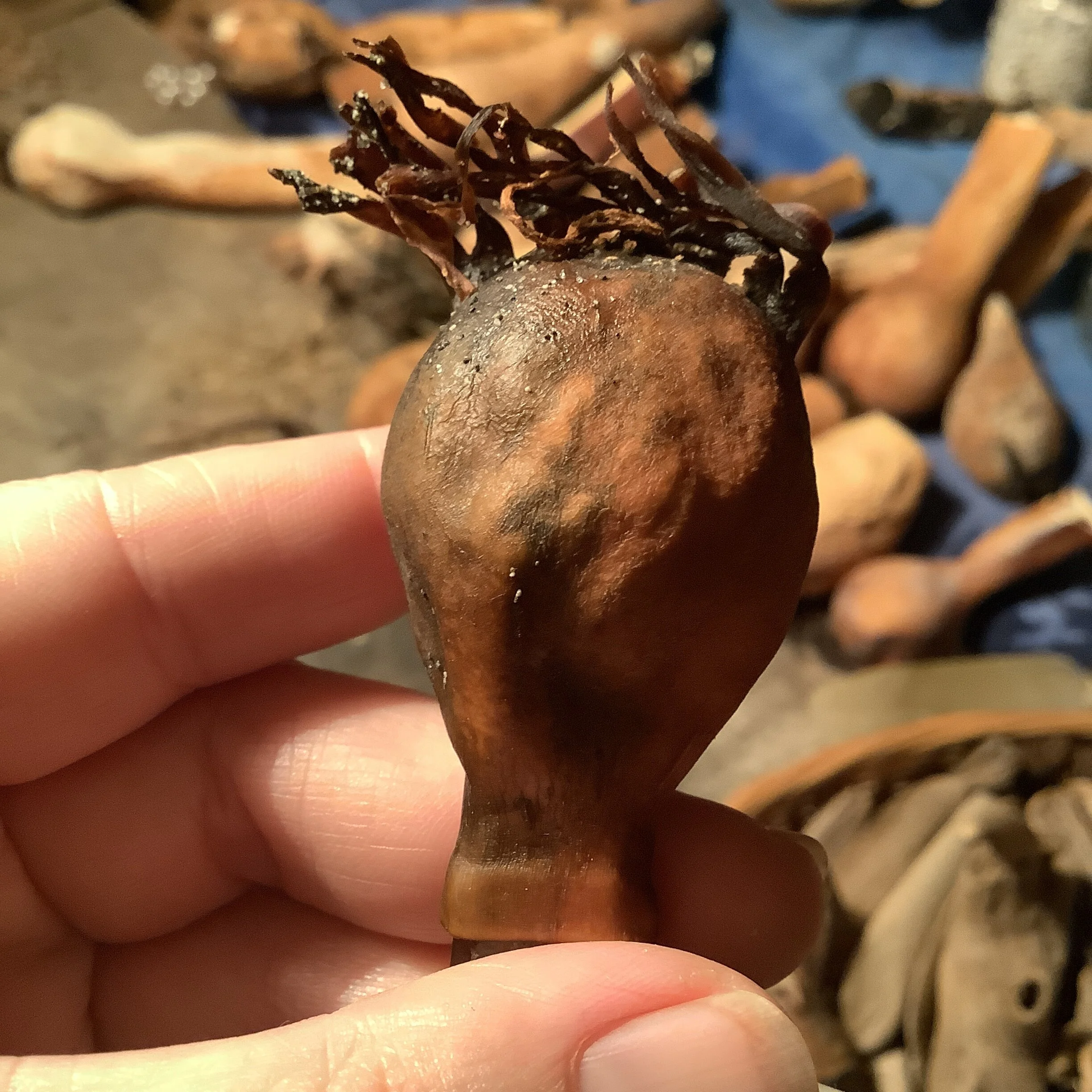 77132D40-C4D1-4F5B-9C7C-BBAF5F41E30B