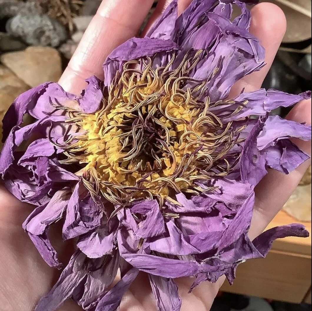 CE513A2C-292A-4C18-BEE7-472F69EACFB0